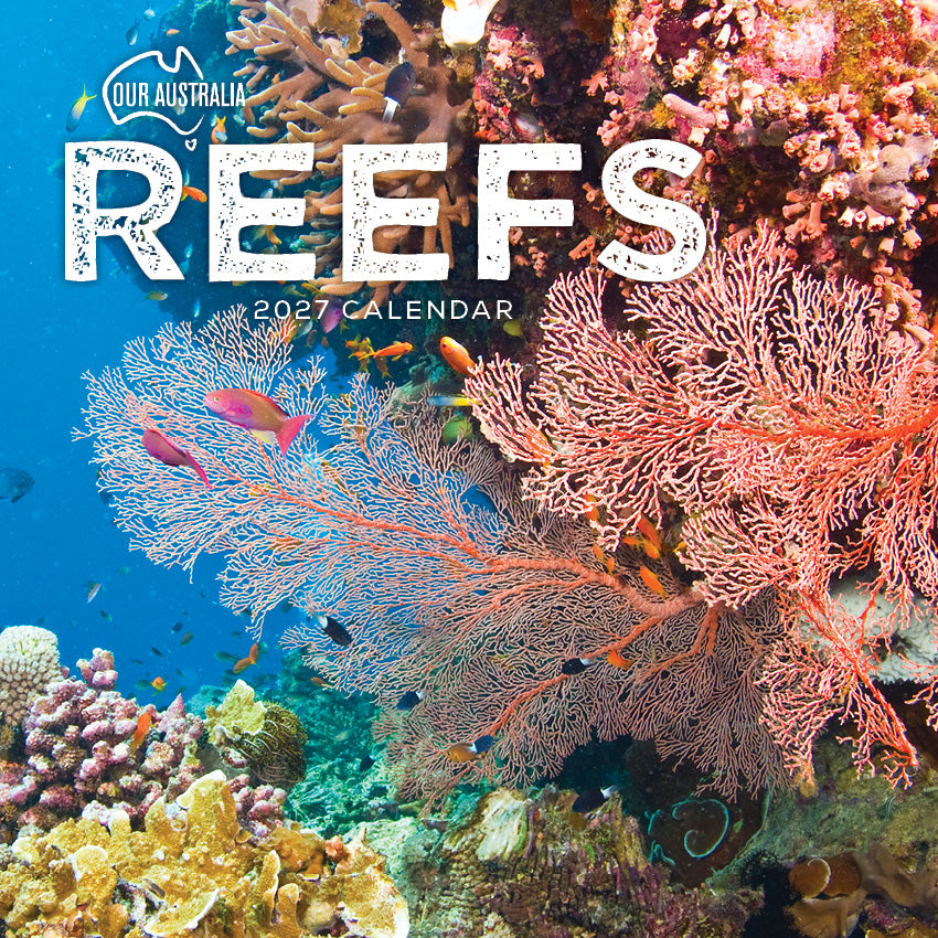 2027 Our Australia Reefs : Above & Below - Square Wall Calendar