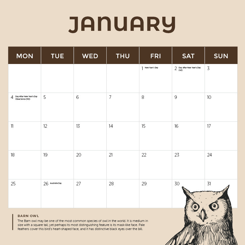 2027 Owls - Square Wall Calendar