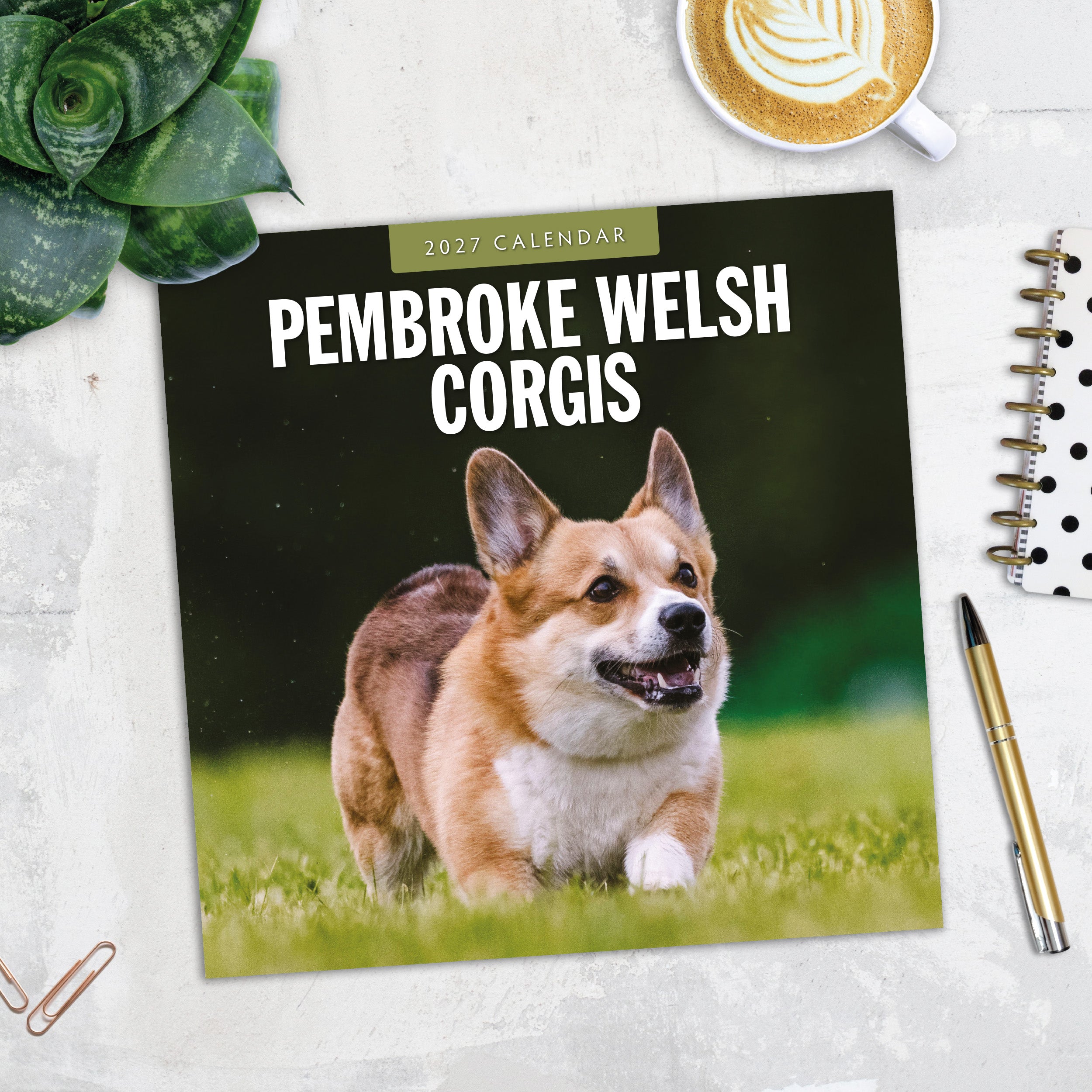 2027 Pembroke Welsh Corgis - Square Wall Calendar