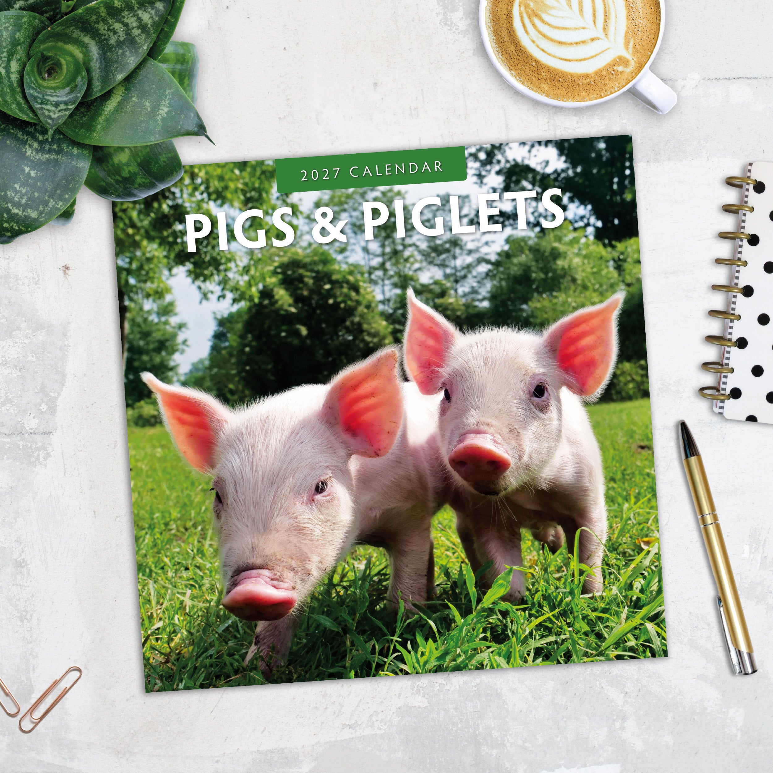 2027 Pigs & Piglets - Square Wall Calendar