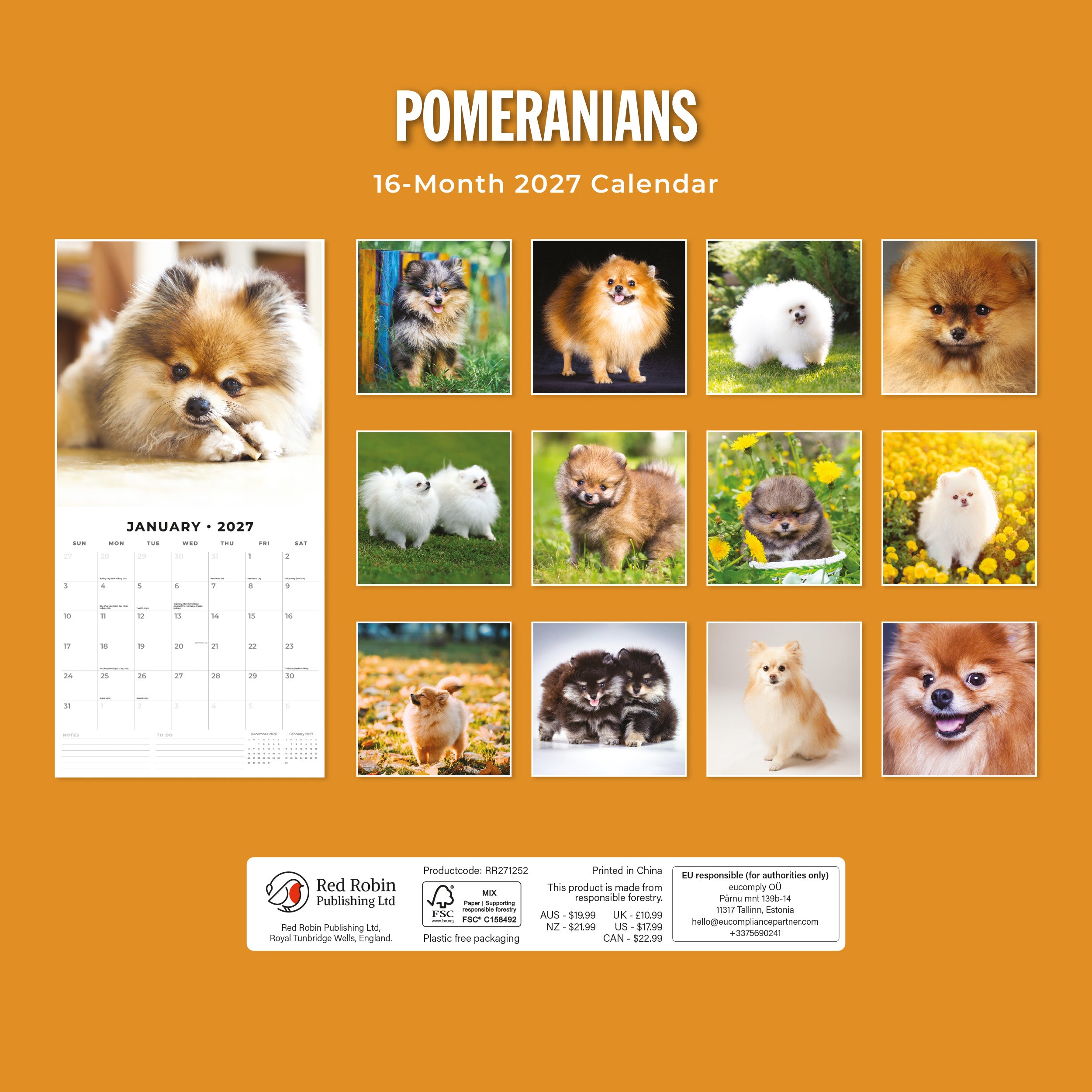 2027 Pomeranians - Square Wall Calendar