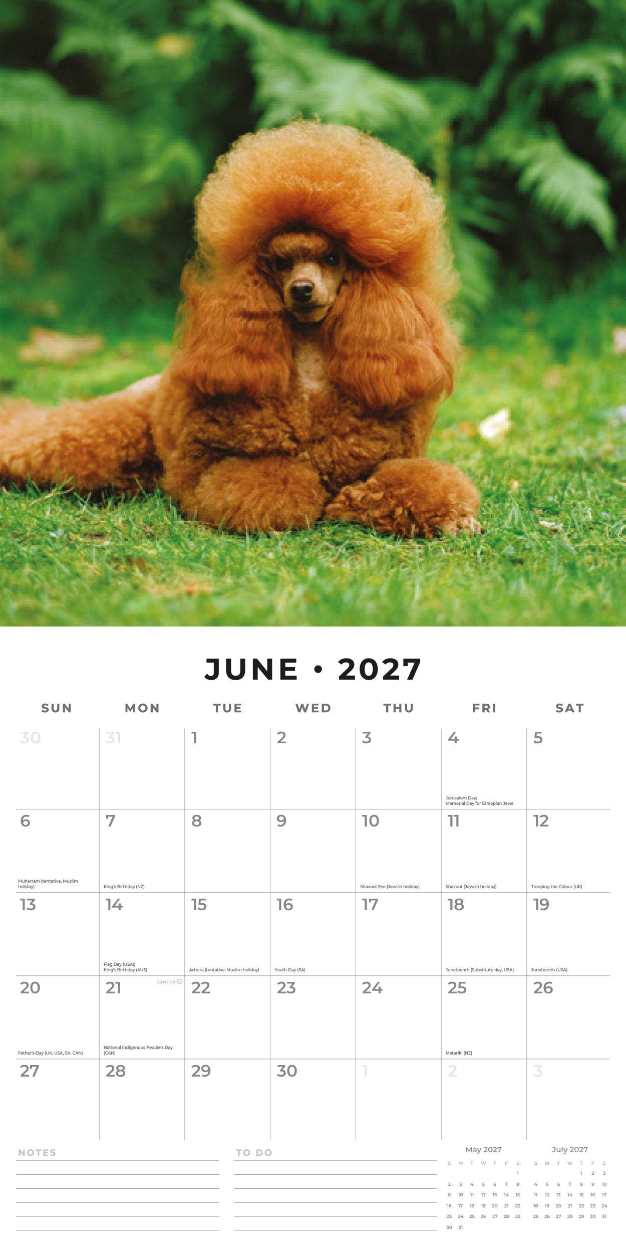 2027 Poodles - Square Wall Calendar