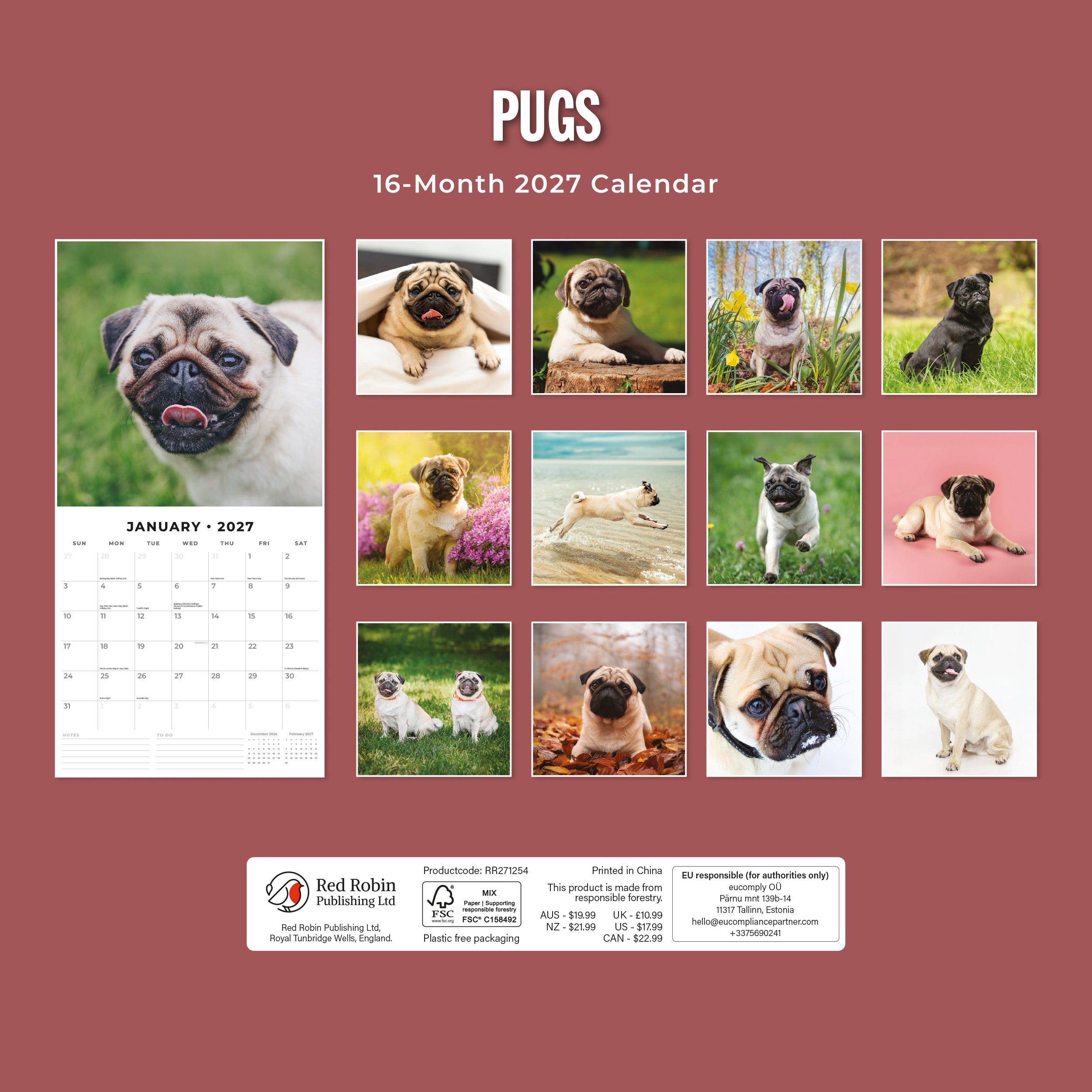 2027 Pugs - Square Wall Calendar