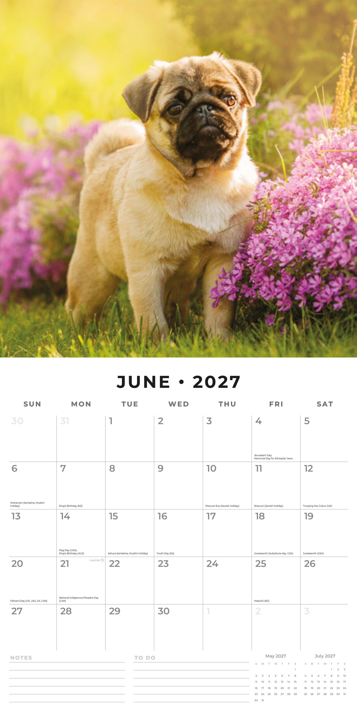 2027 Pugs - Square Wall Calendar