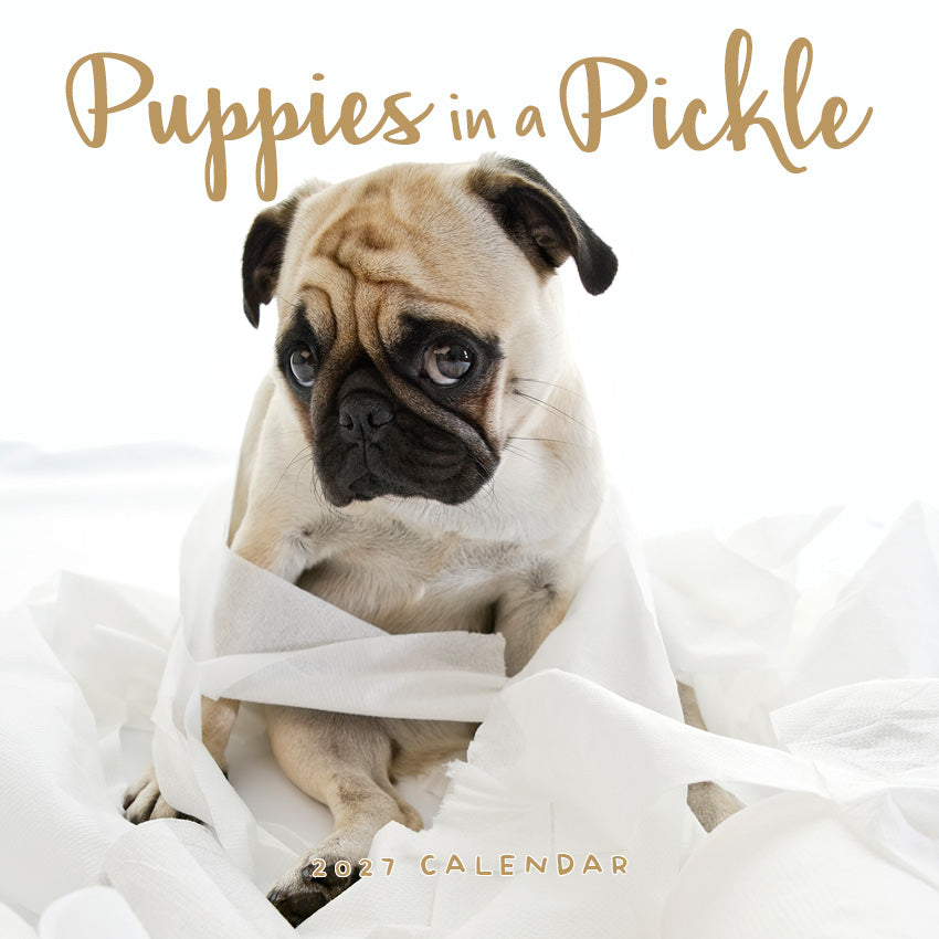 2027 Puppies In A Pickle - Square Wall Calendar