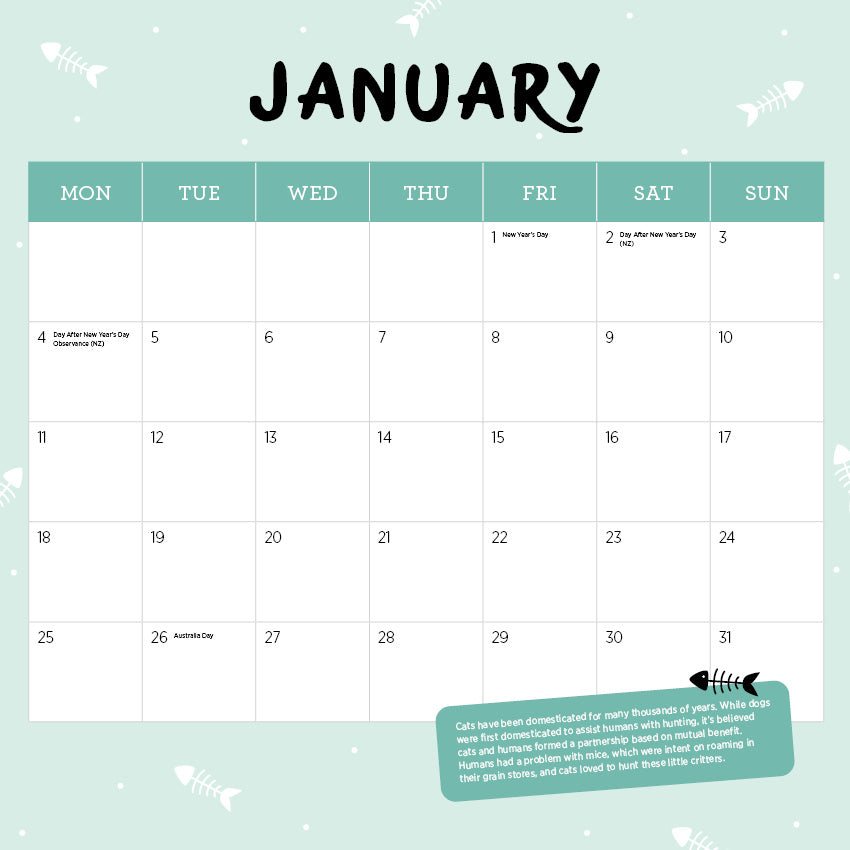 2027 Ragdolls - Square Wall Calendar