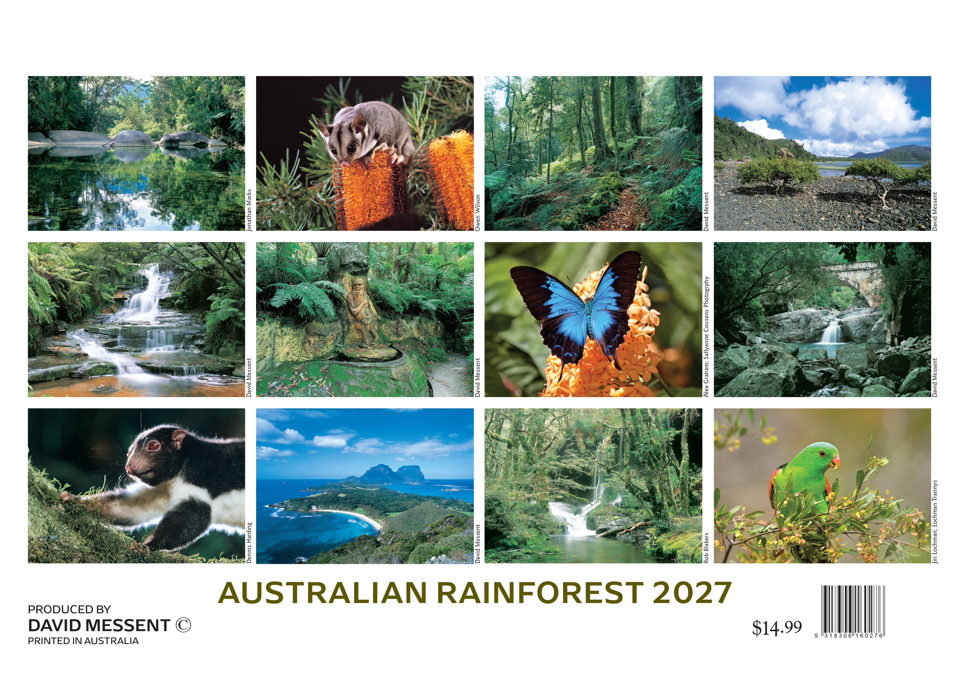 Rainforest_Back_9318306160276.jpg
