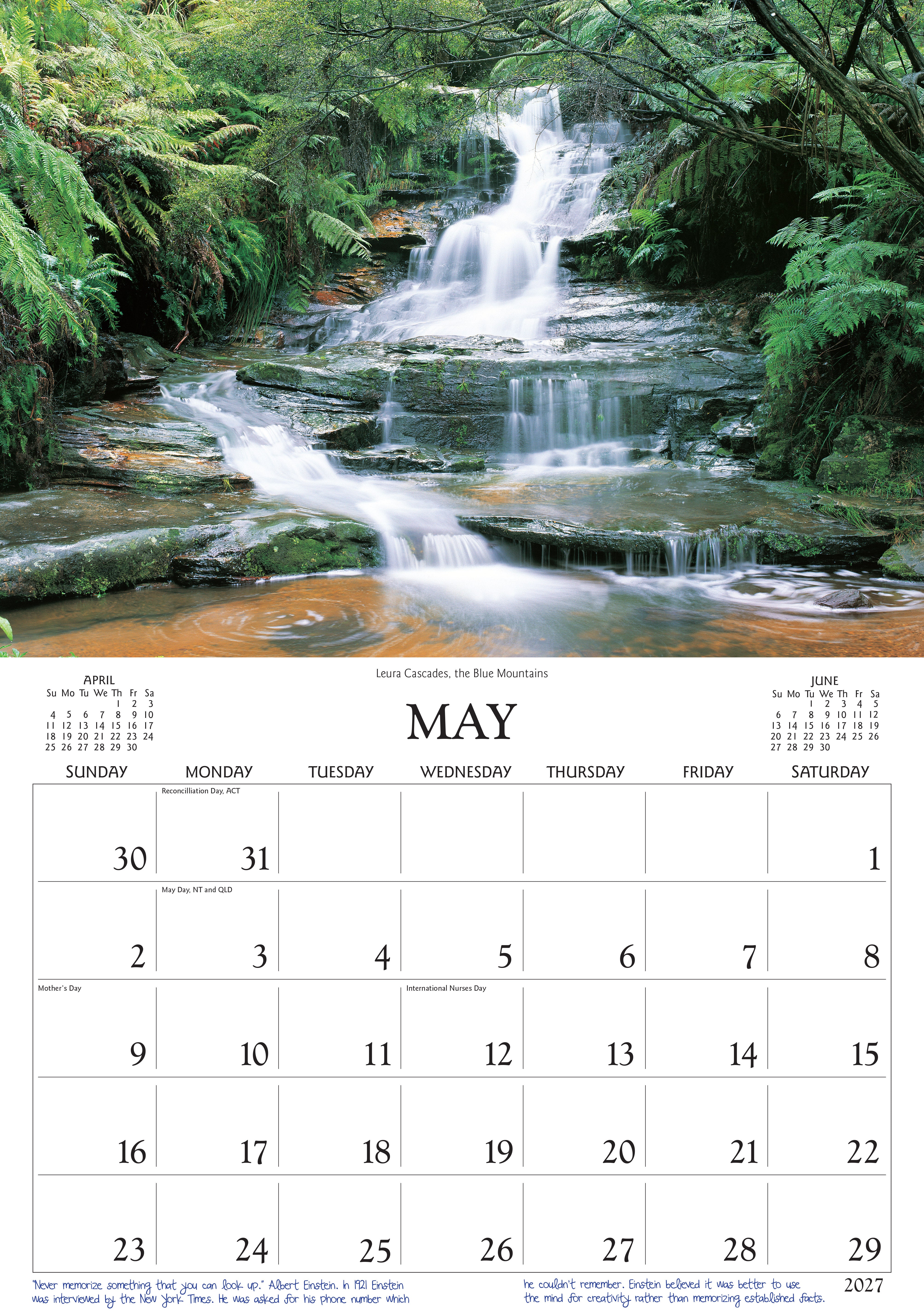 Rainforest_Side_9318306160276.jpg