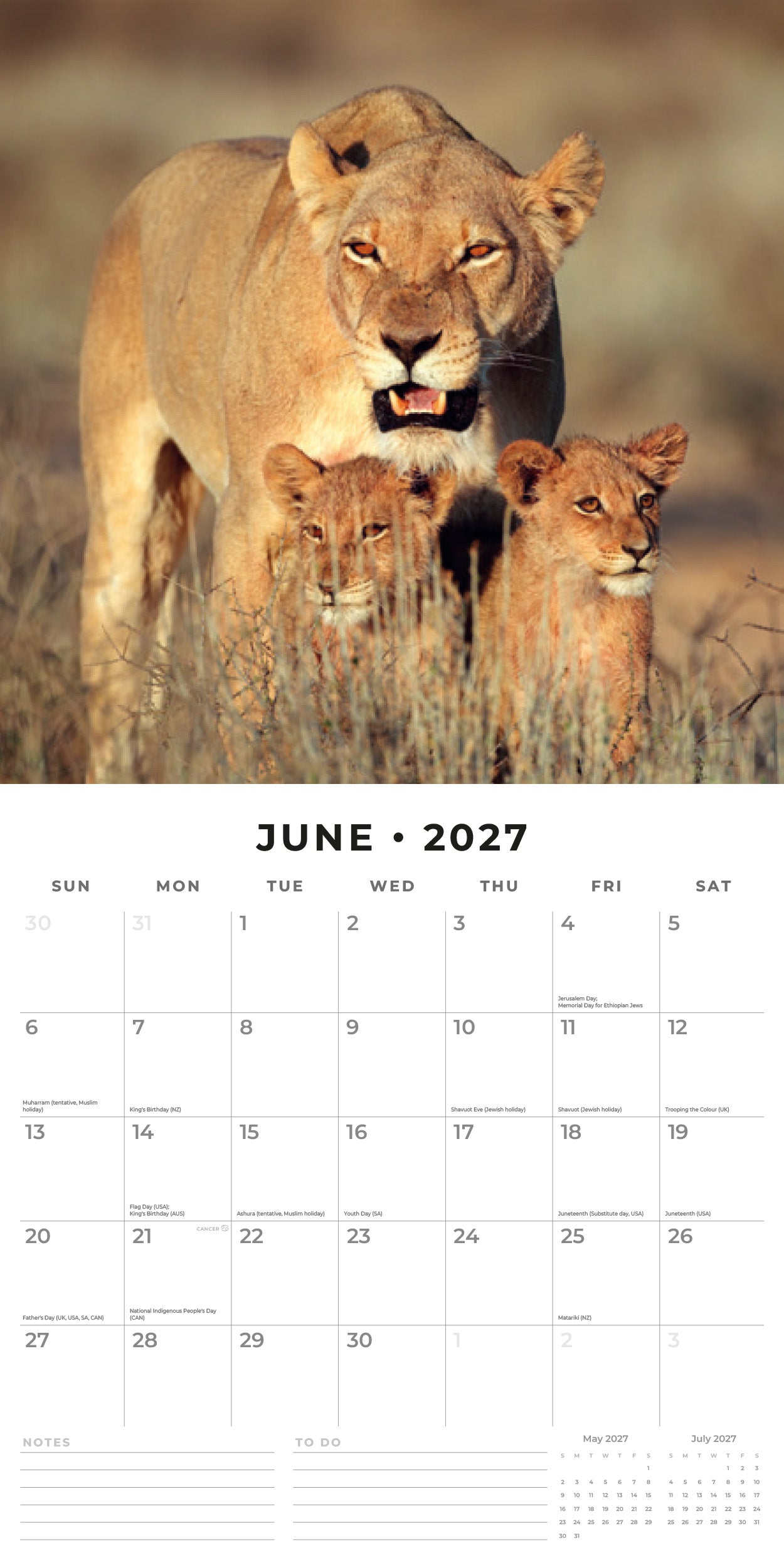 2027 Safari - Square Wall Calendar