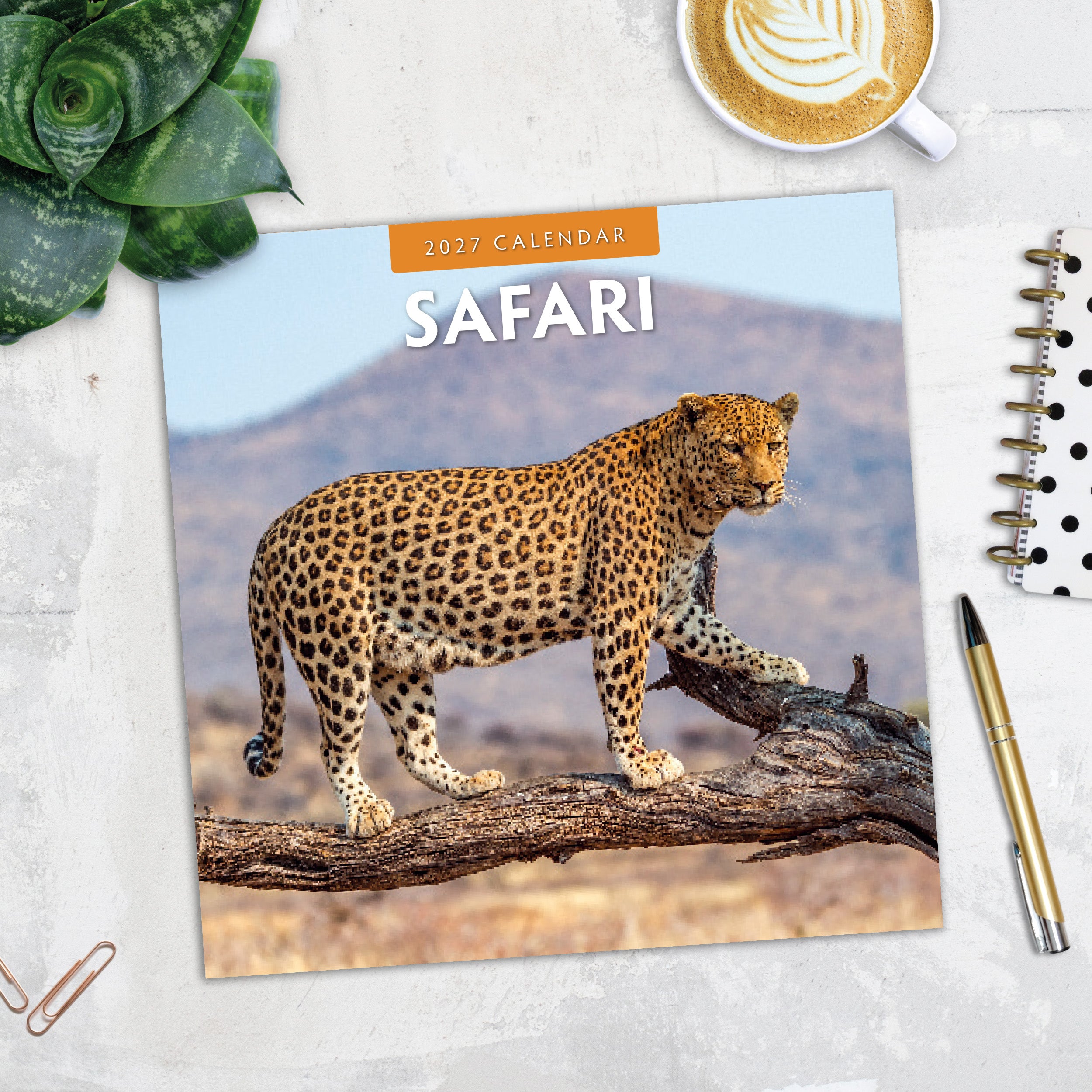 2027 Safari - Square Wall Calendar