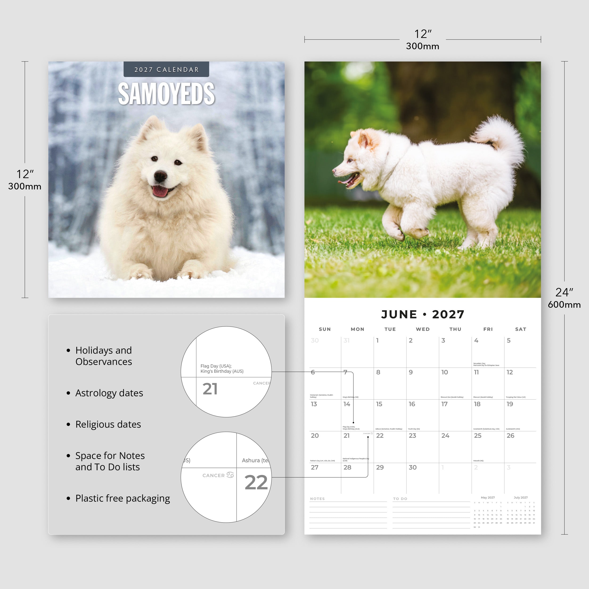 2027 Samoyeds - Square Wall Calendar