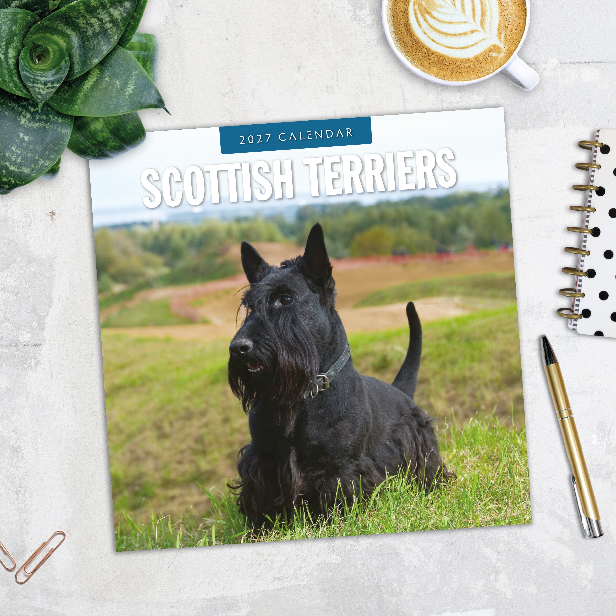2027 Scottish Terriers - Square Wall Calendar