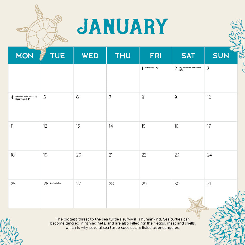 2027 Sea Turtles - Square Wall Calendar