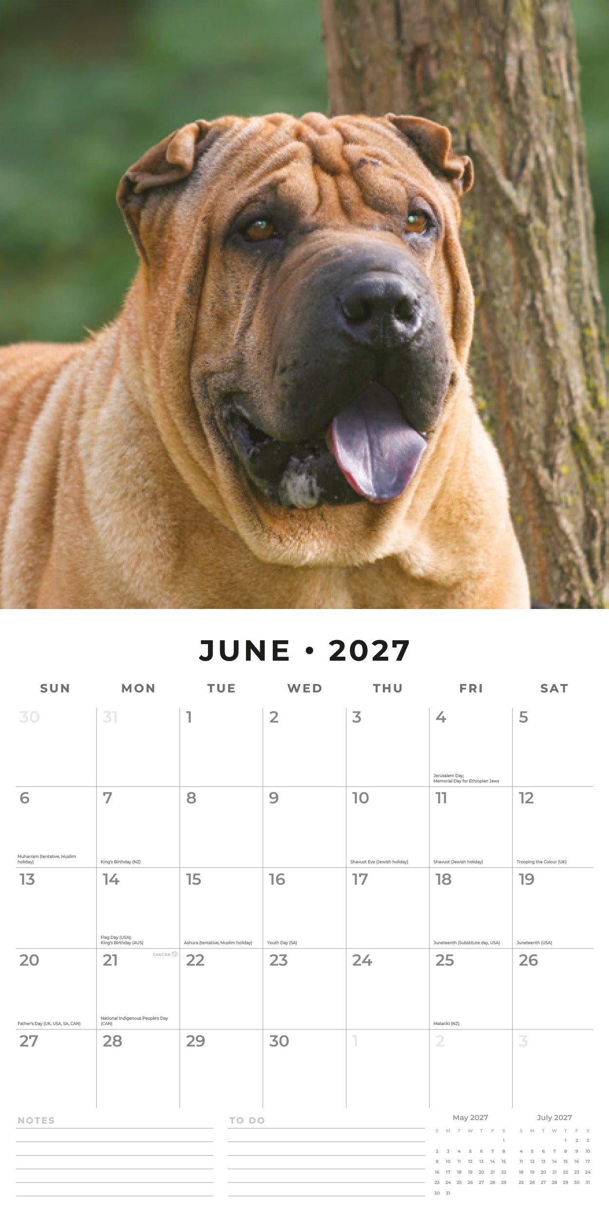 2027 Shar-Pei - Square Wall Calendar