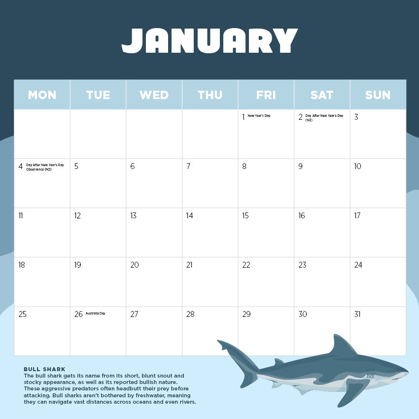 2027 Sharks - Square Wall Calendar
