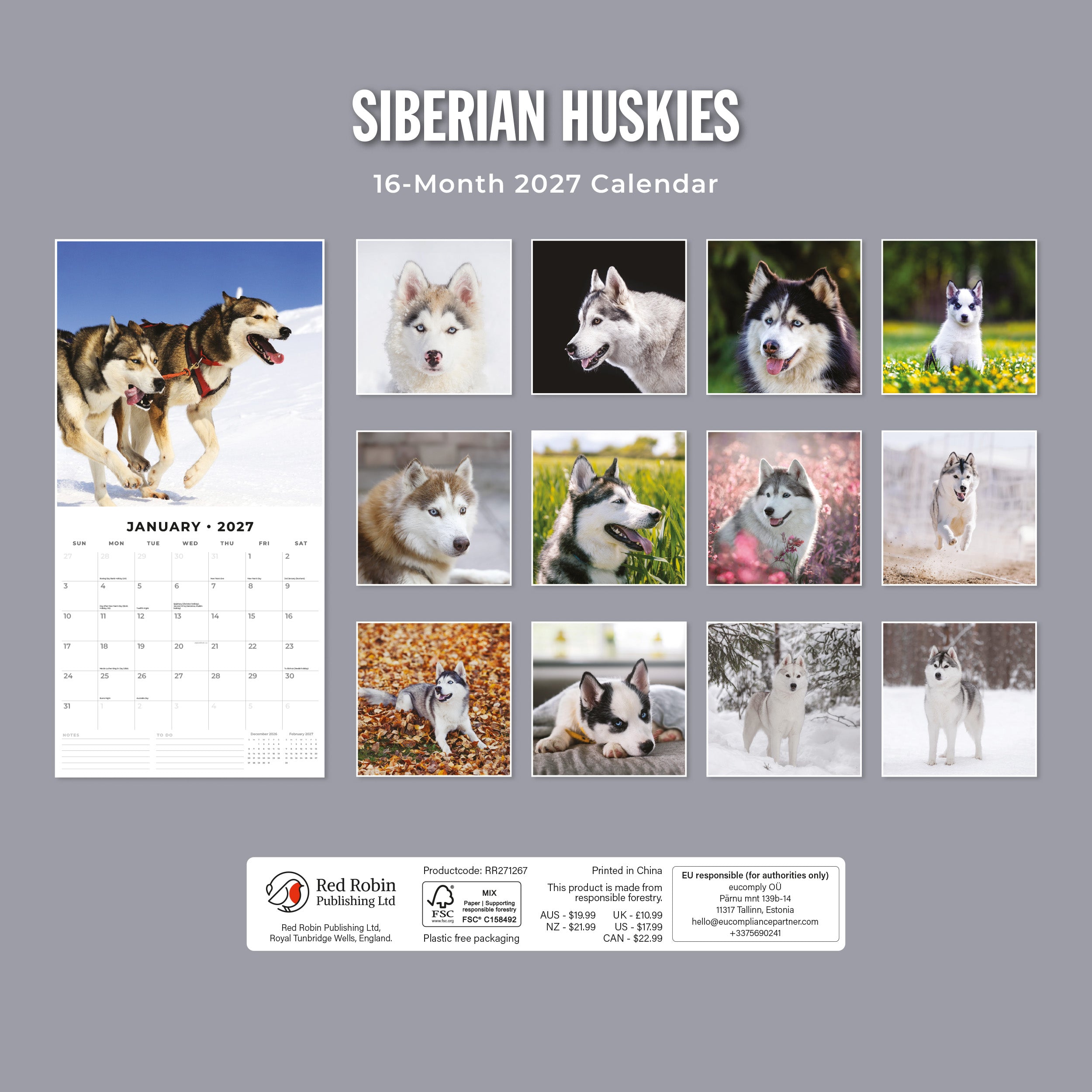 2027 Siberian Huskies - Square Wall Calendar