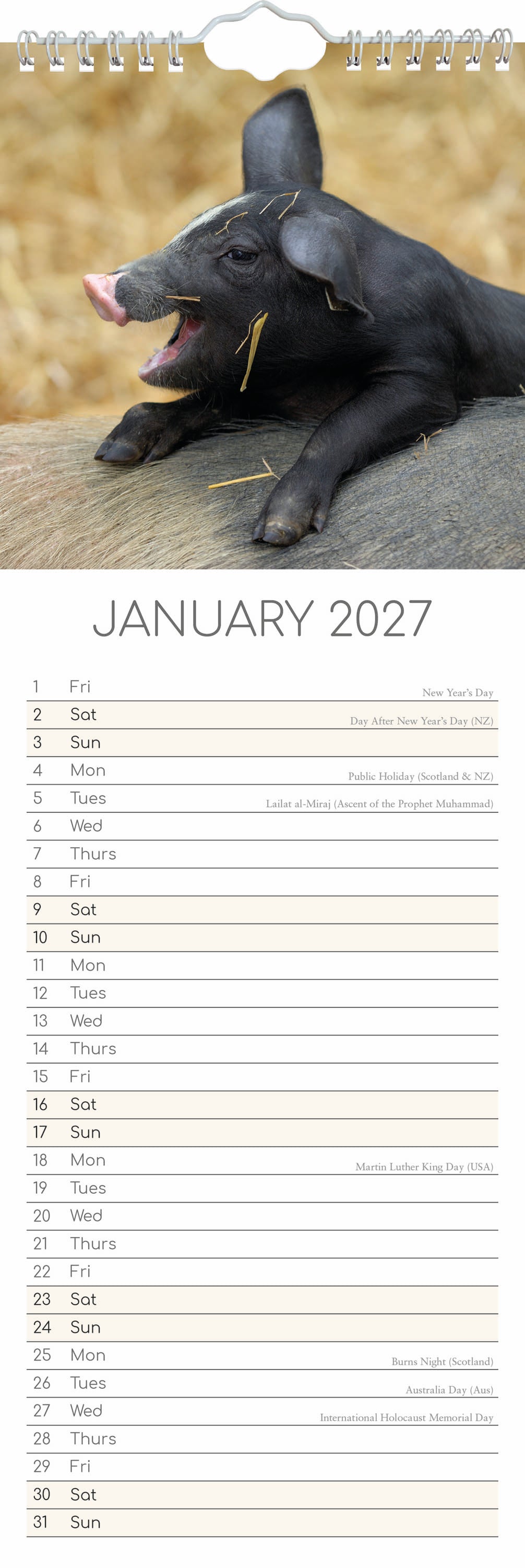 Slimline_Animals_Cute_Piggies_2027_Jan.jpg