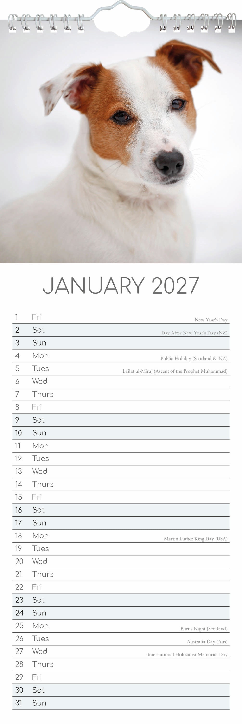 Slimline_Animals_Dogs_Jack_Russells_2027_Jan.jpg