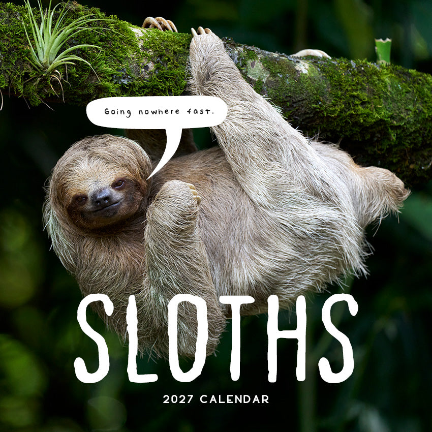 2027 Sloths - Square Wall Calendar