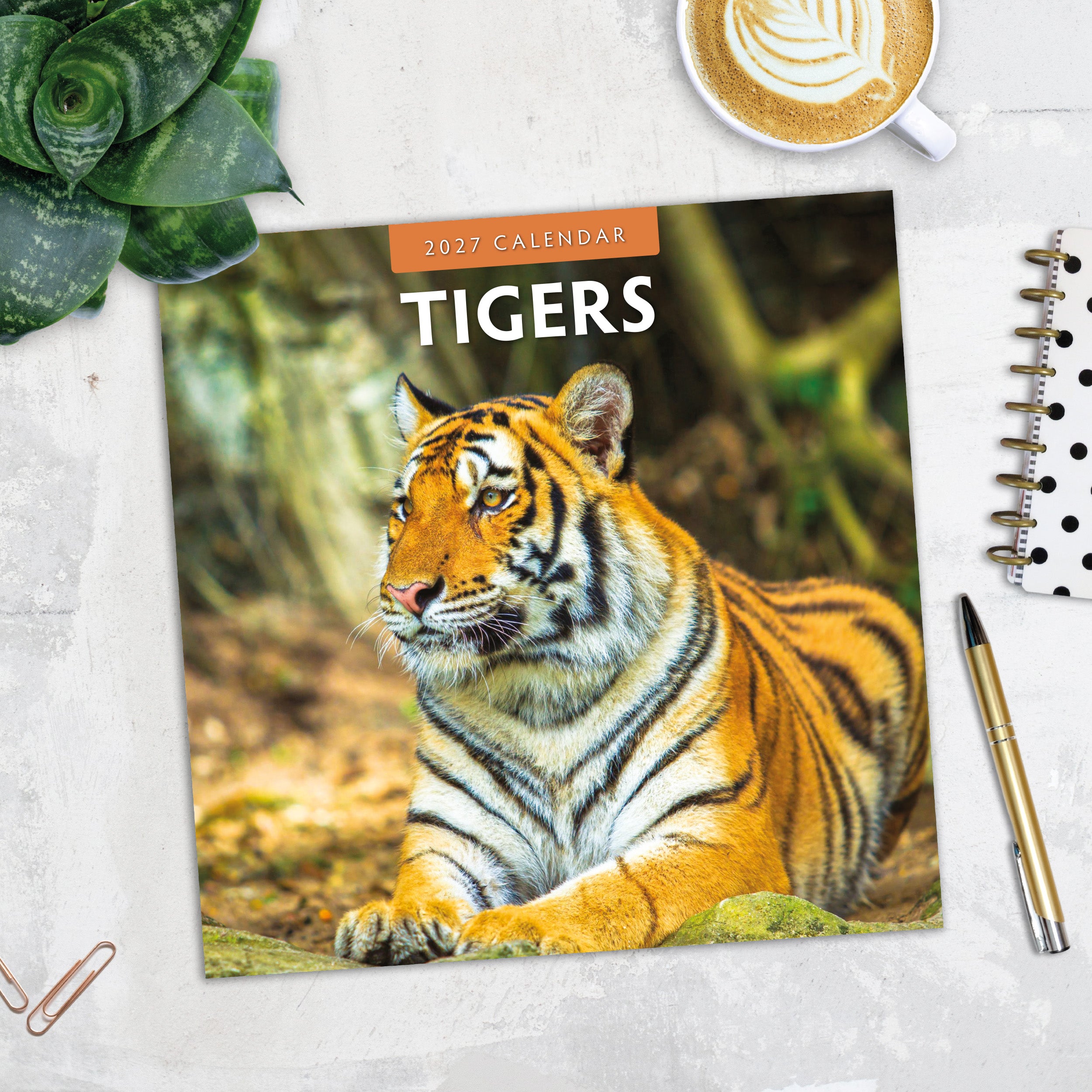 2027 Tigers - Square Wall Calendar