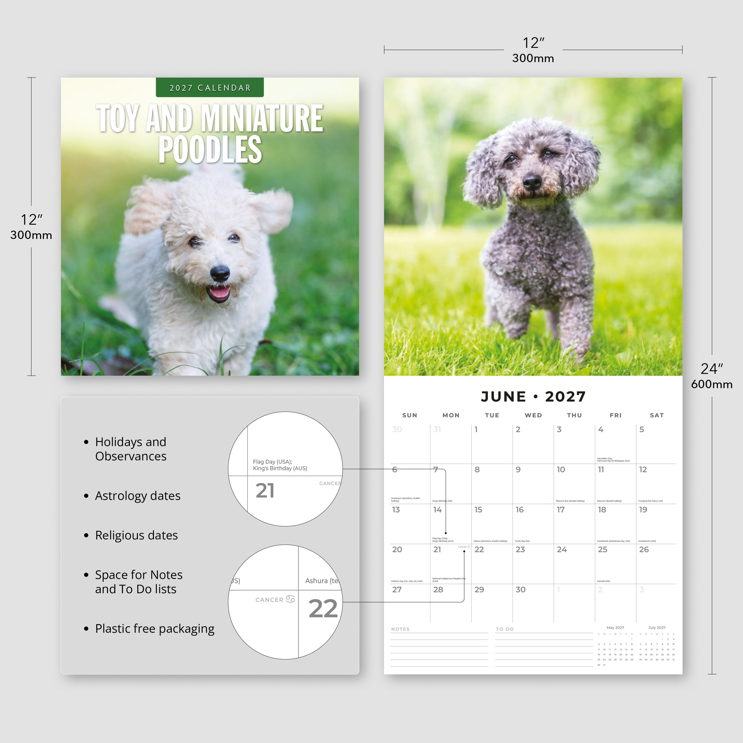 2027 Toy and Miniature Poodles - Square Wall Calendar