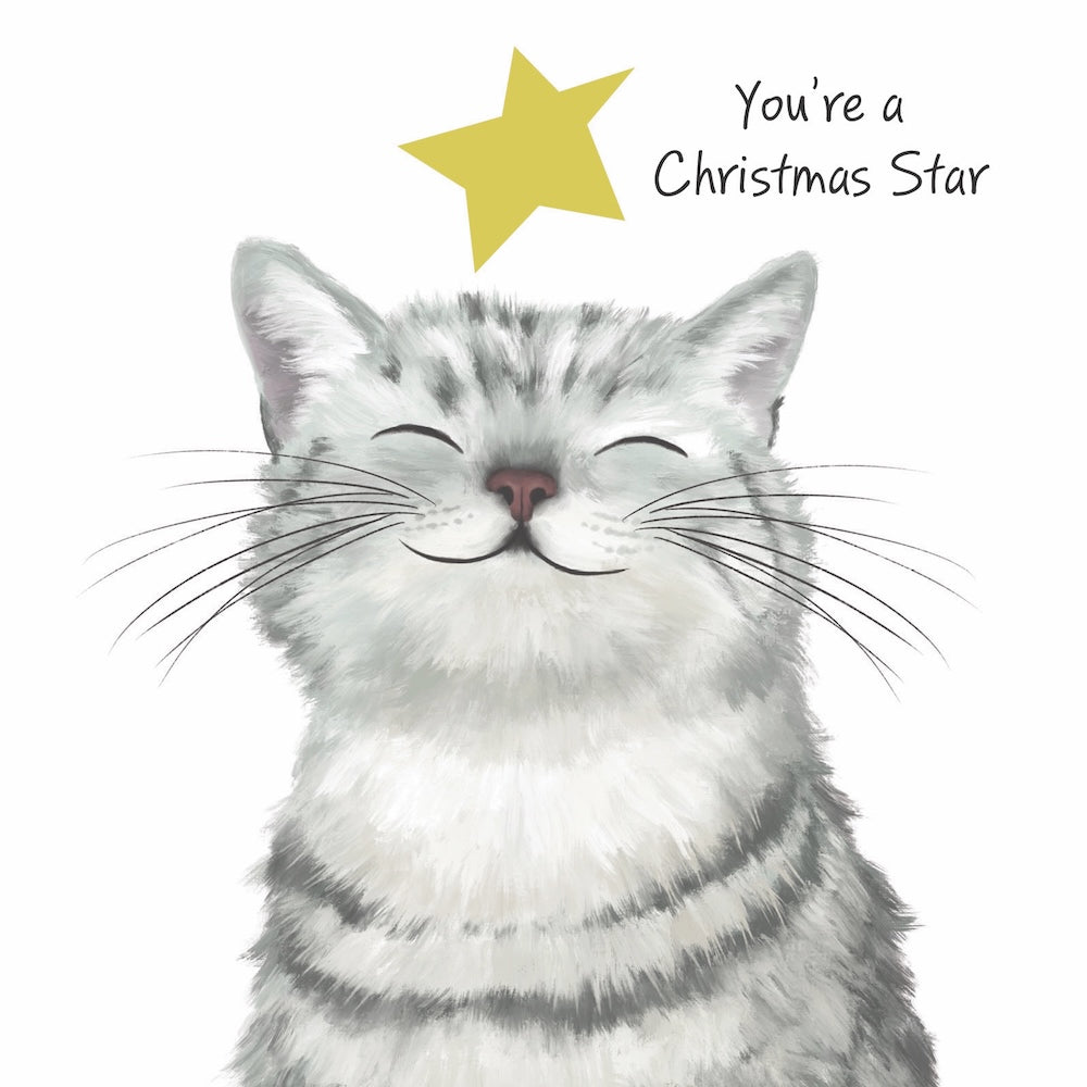 RSPCA - Christmas Star - 10 Charity Christmas Cards Pack