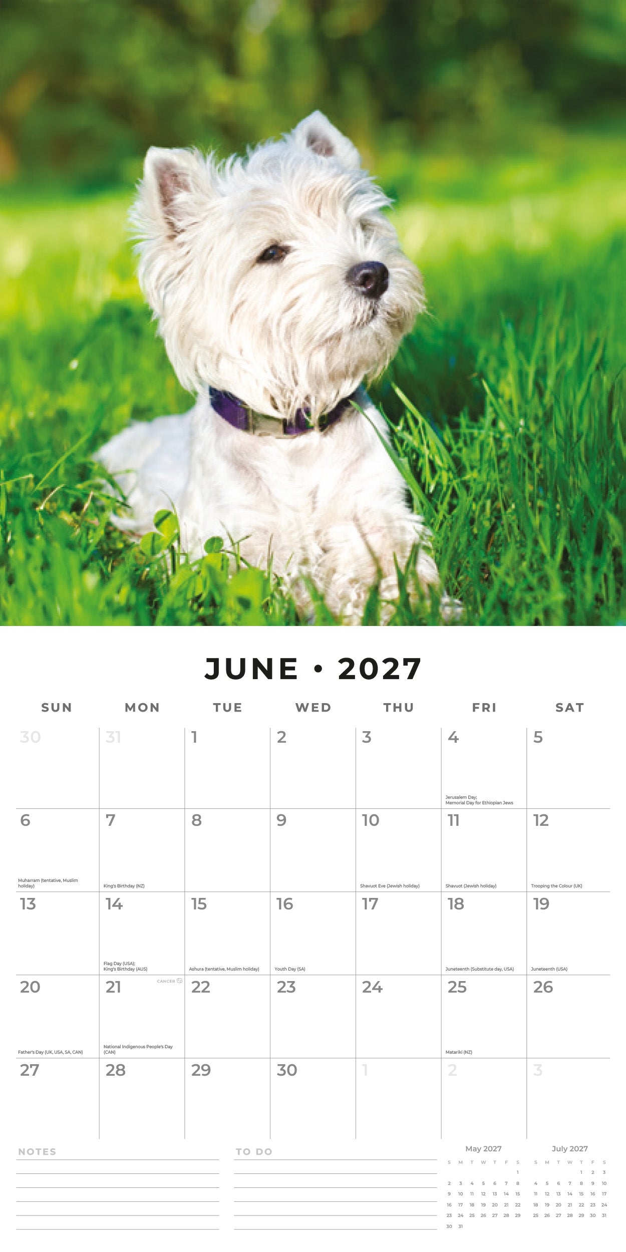 2027 West Highland White Terriers - Square Wall Calendar