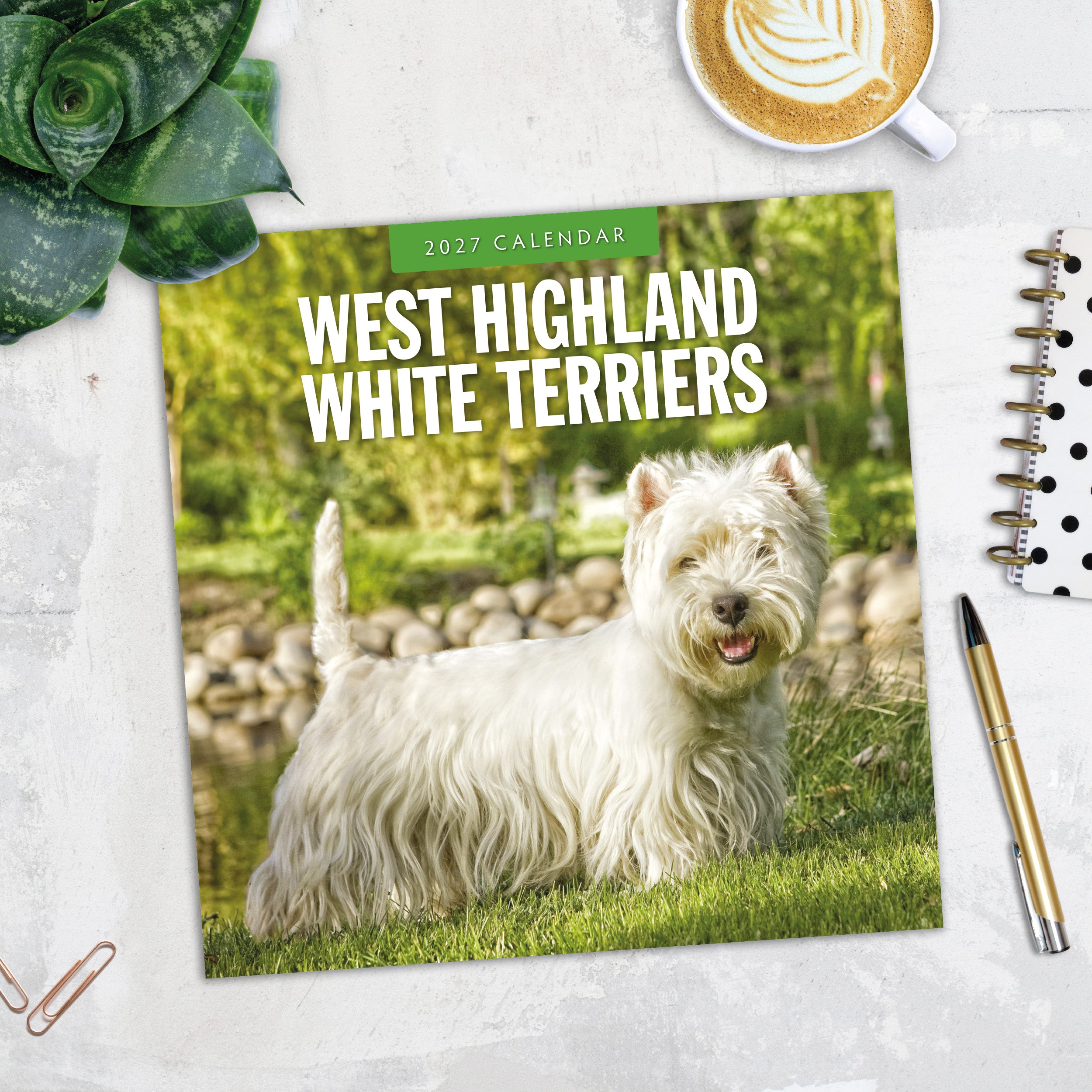 2027 West Highland White Terriers - Square Wall Calendar