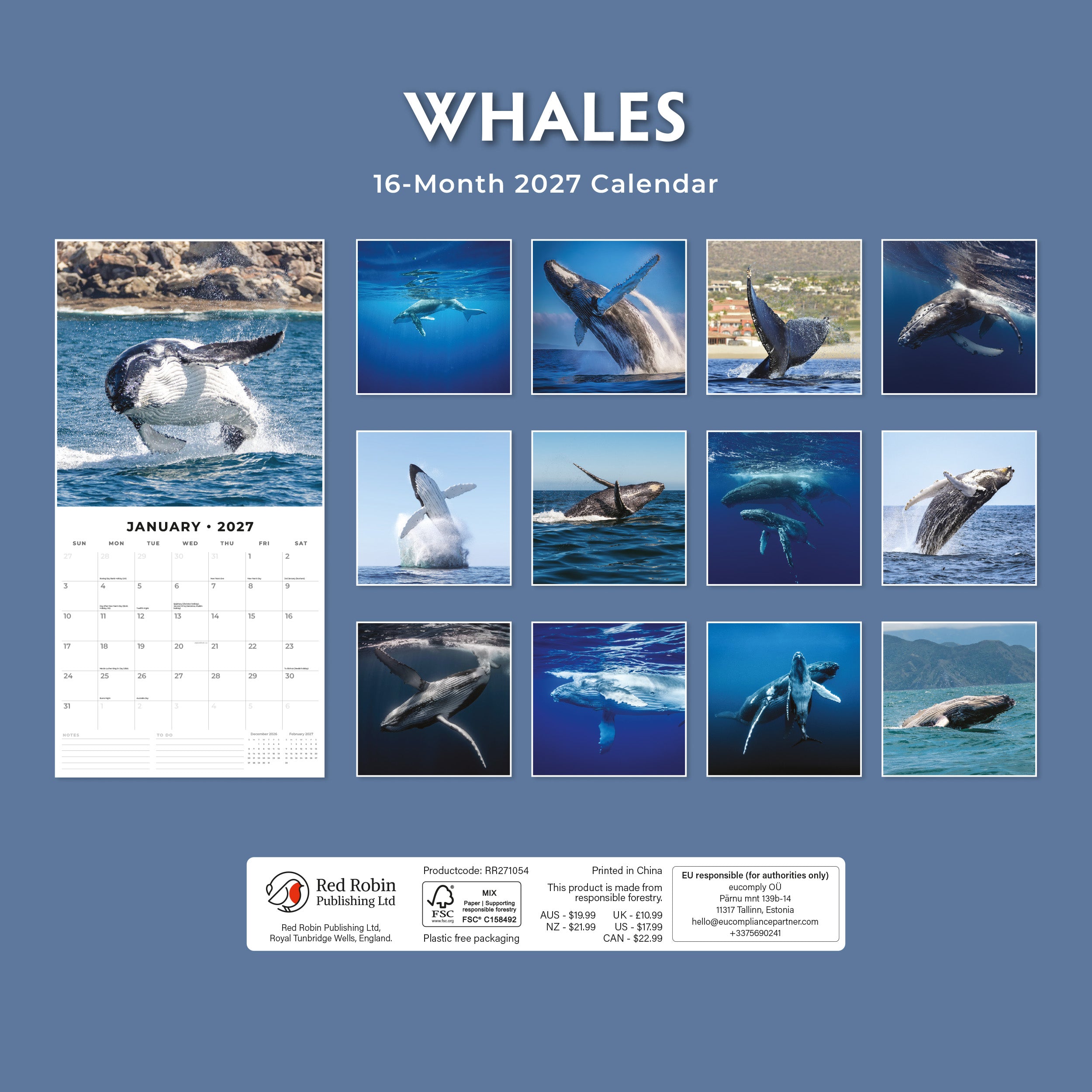 2027 Whales - Square Wall Calendar