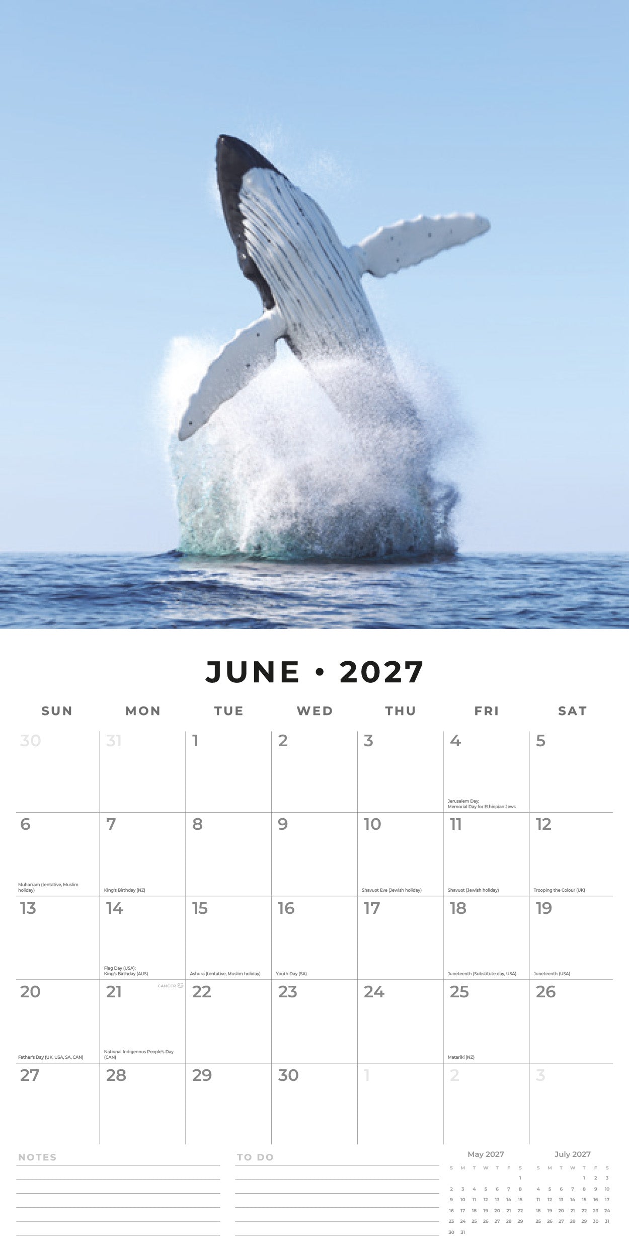 2027 Whales - Square Wall Calendar