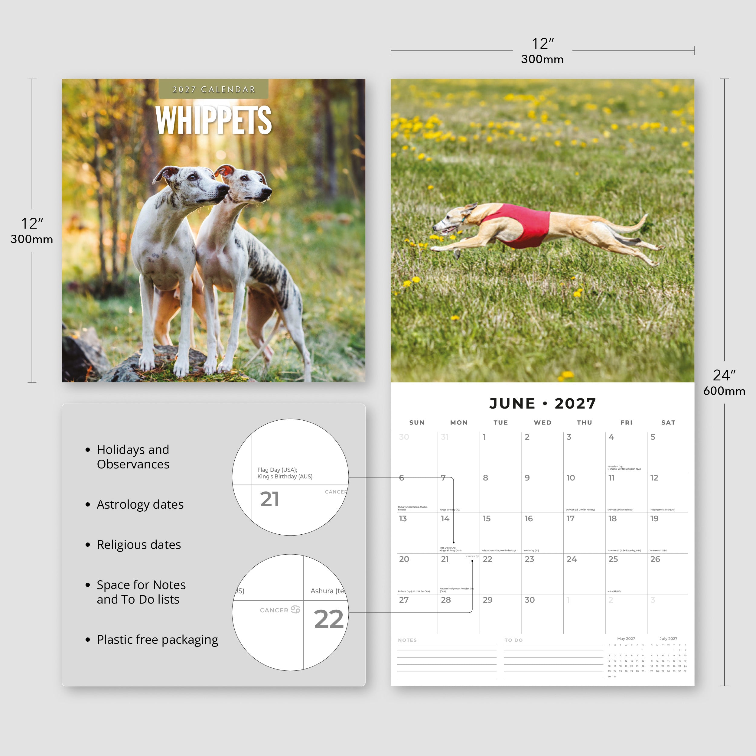2027 Whippets - Square Wall Calendar