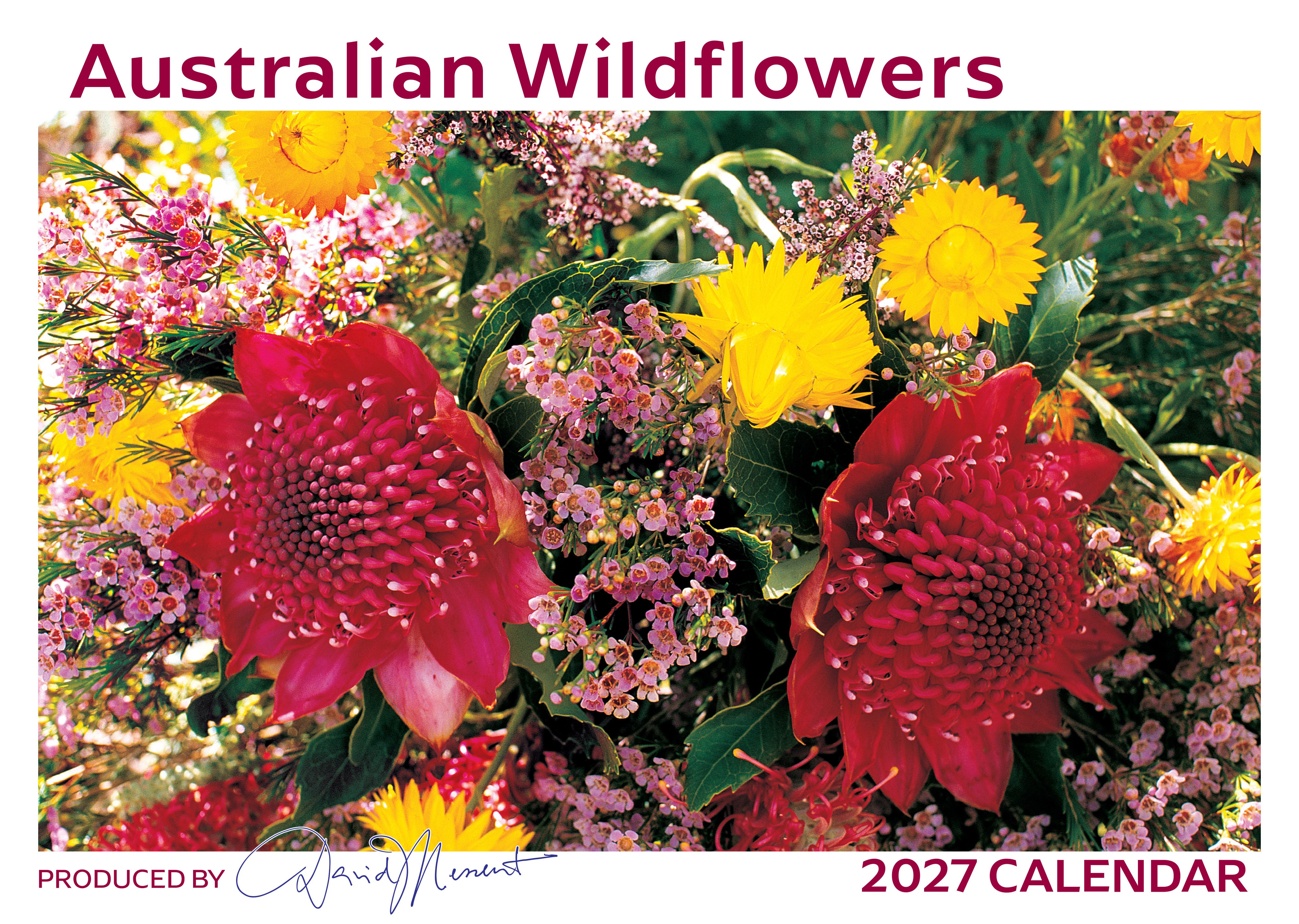 Wildflowers_Front_9318306170275.jpg