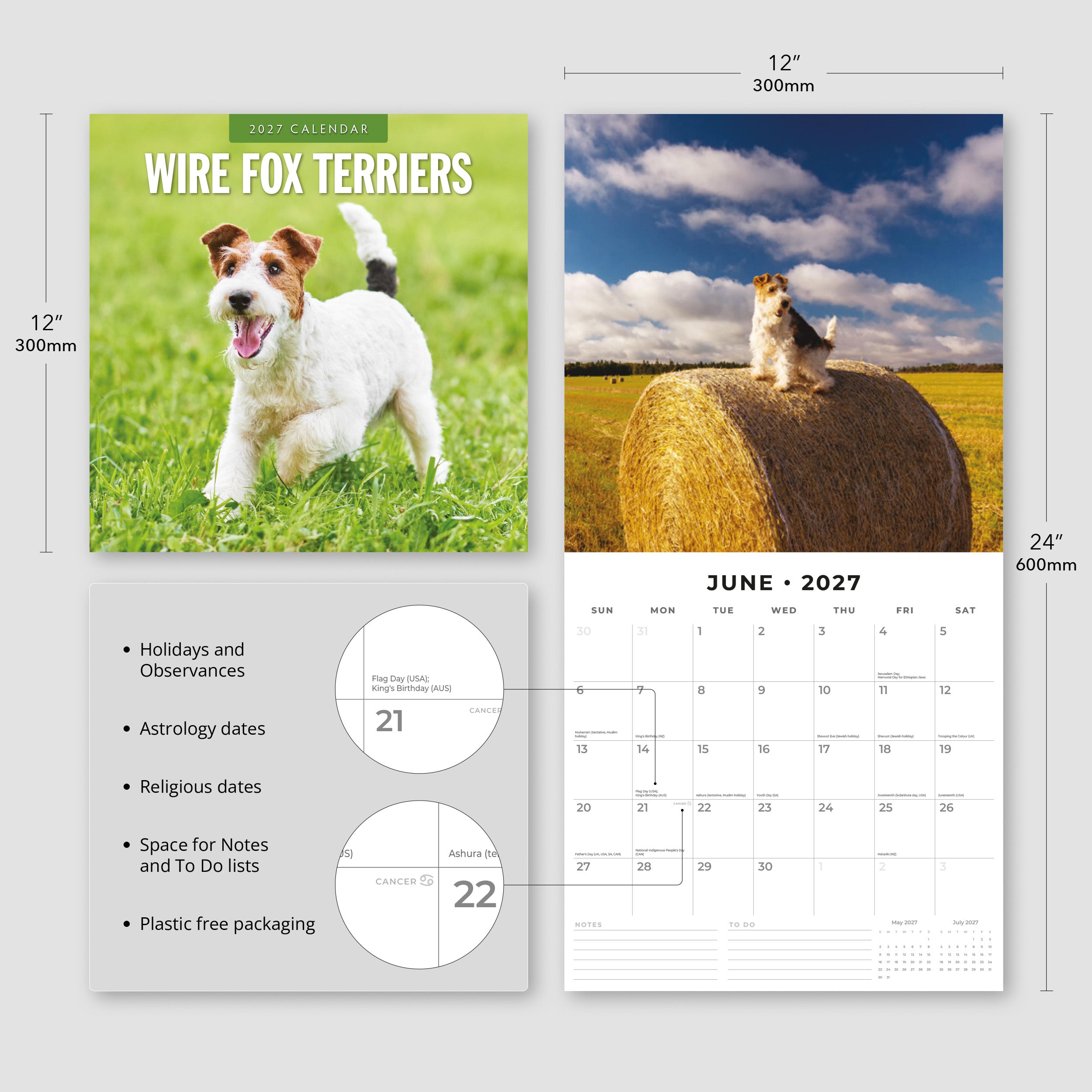 2027 Wire Fox Terriers - Square Wall Calendar