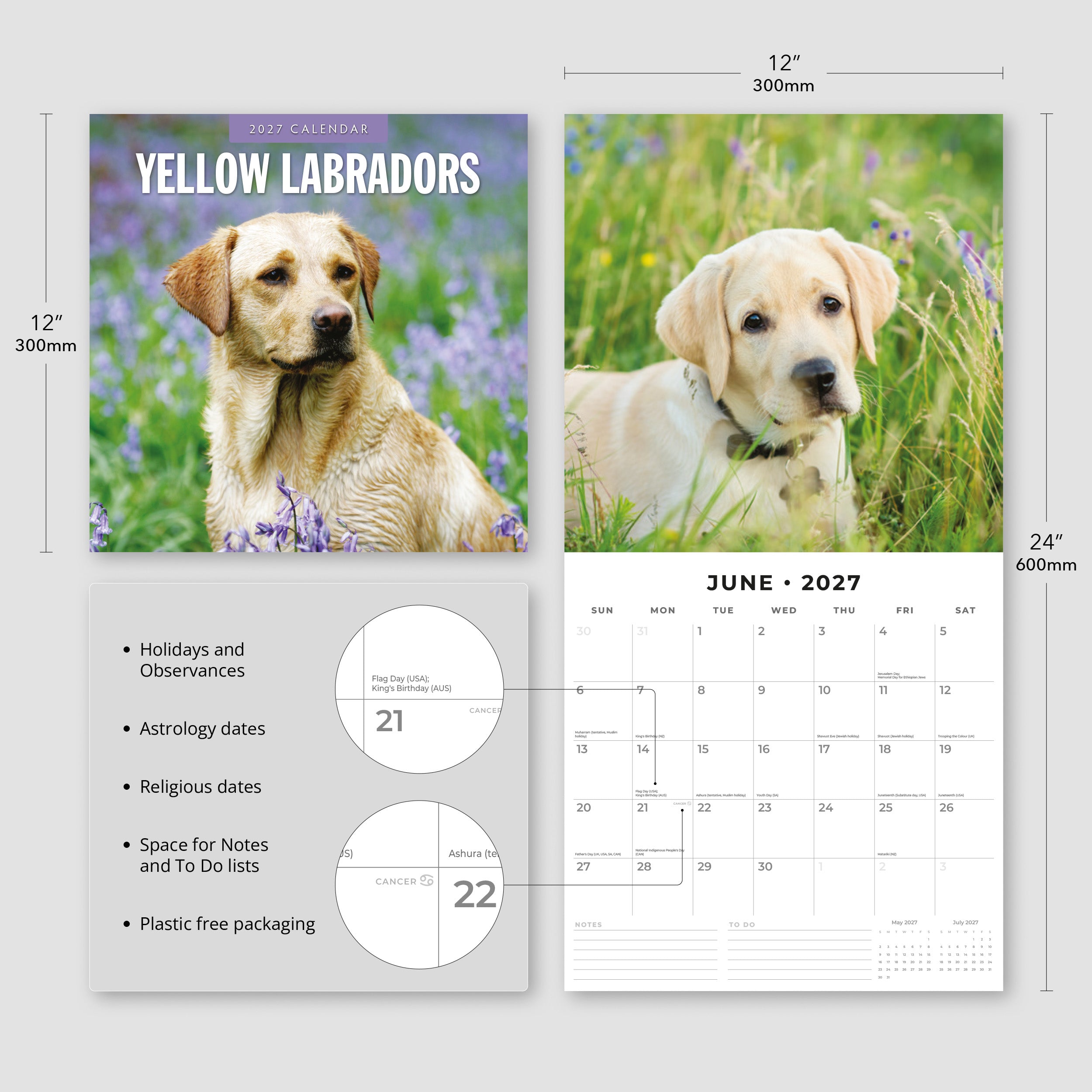 2027 Yellow Labrador - Square Wall Calendar