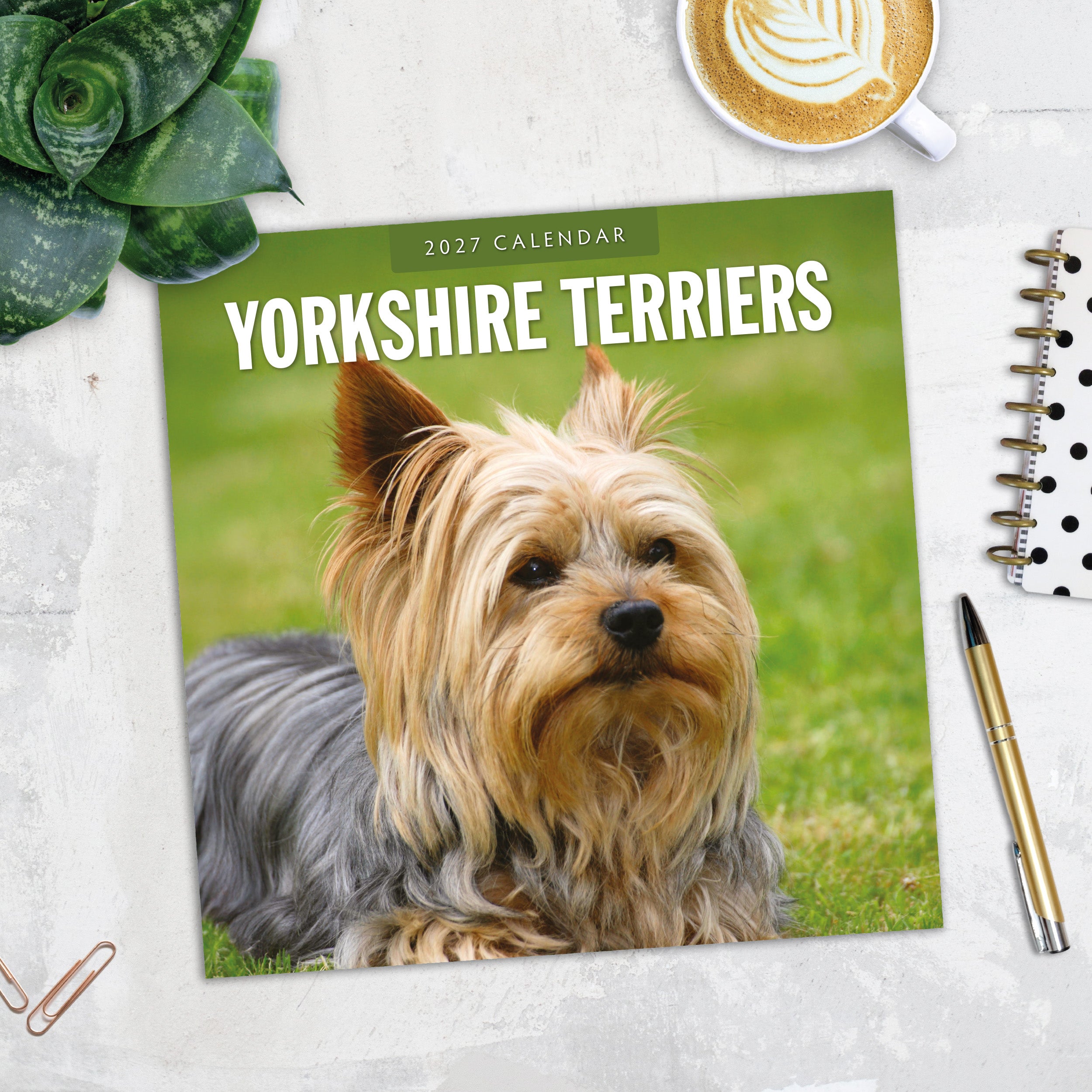 2027 Yorkshire Terriers - Square Wall Calendar