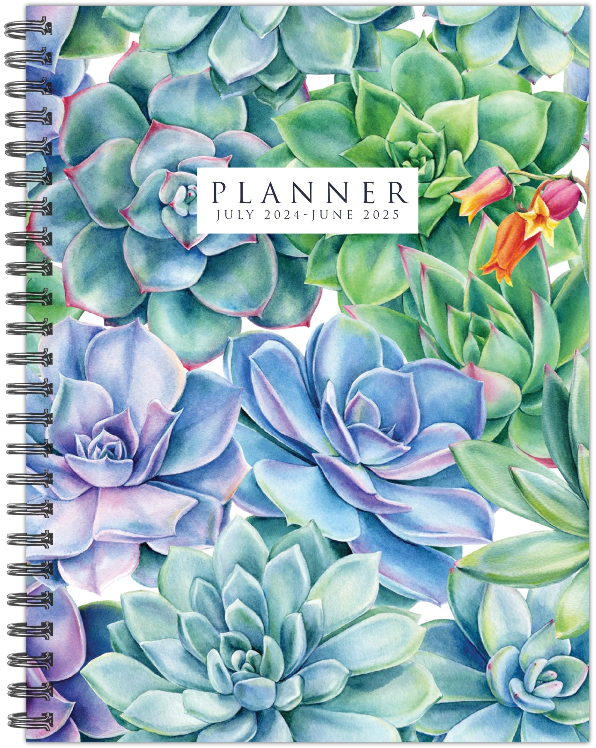 July 2024 - June 2025 Succulents - Medium Weekly & Monthly Academic Year Diary/Planner