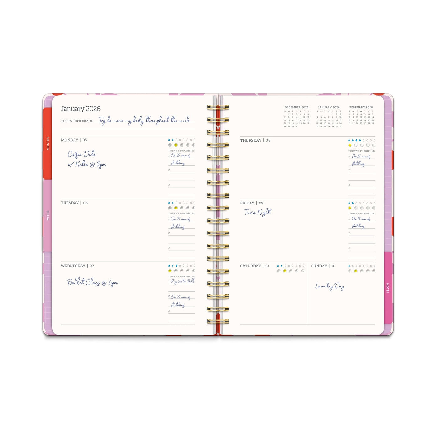 2026 Cherry Sweet - Tri-Tab 17-Month Monthly & Weekly Diary/Planner