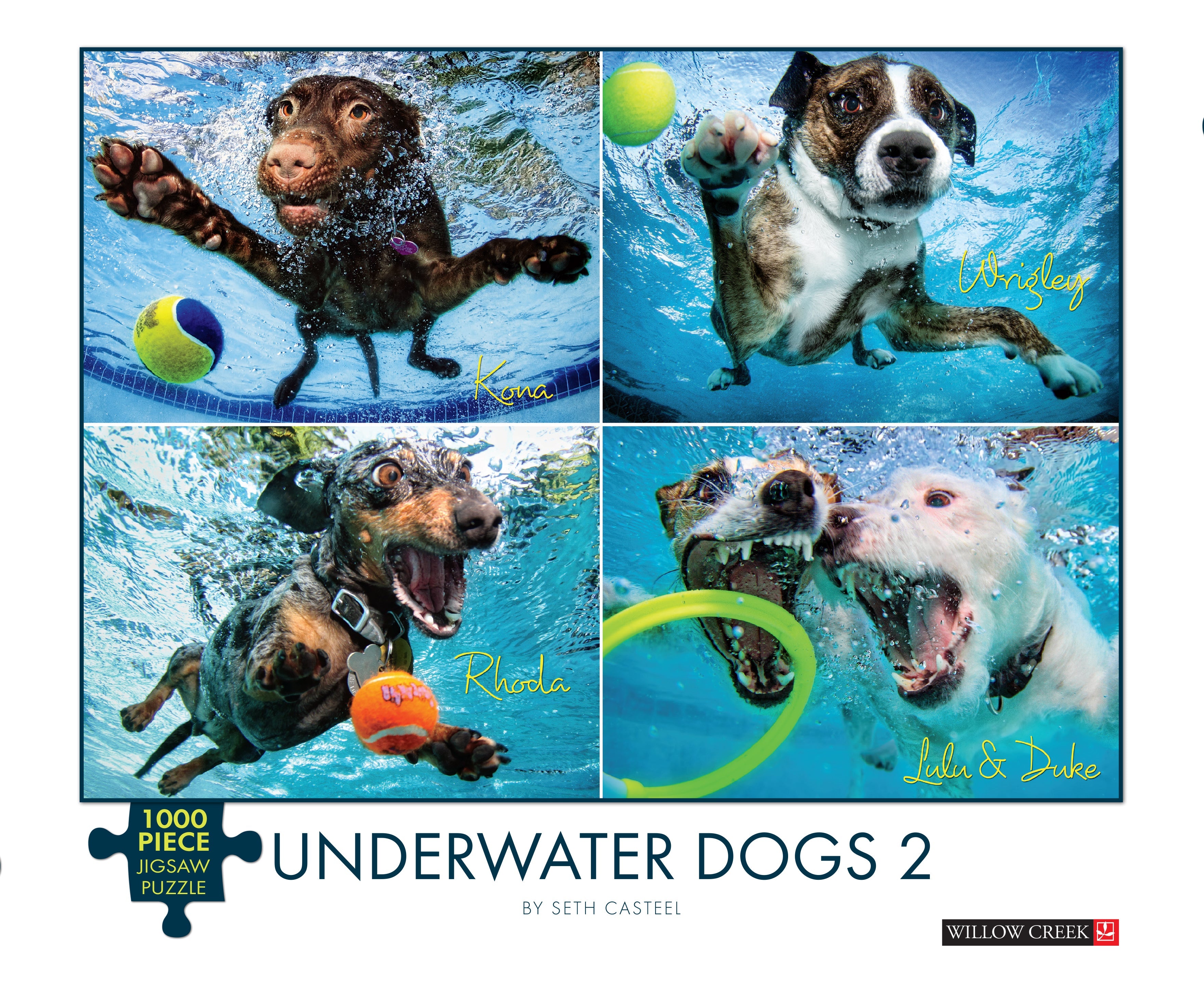 Underwater Dogs 2 1000 Piece - Jigsaw Puzzle