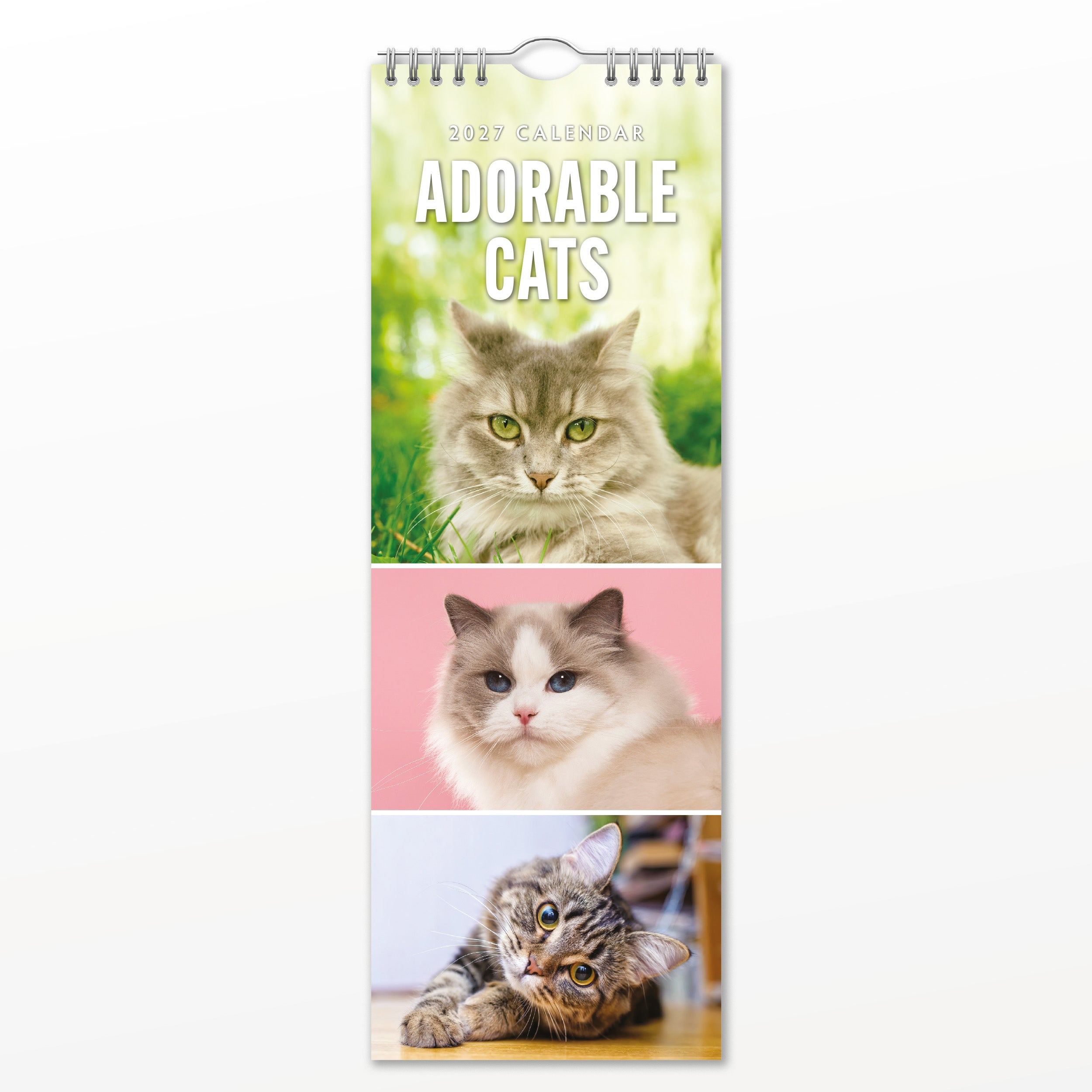 2027 Adorable Cats - Slim Wall Calendar