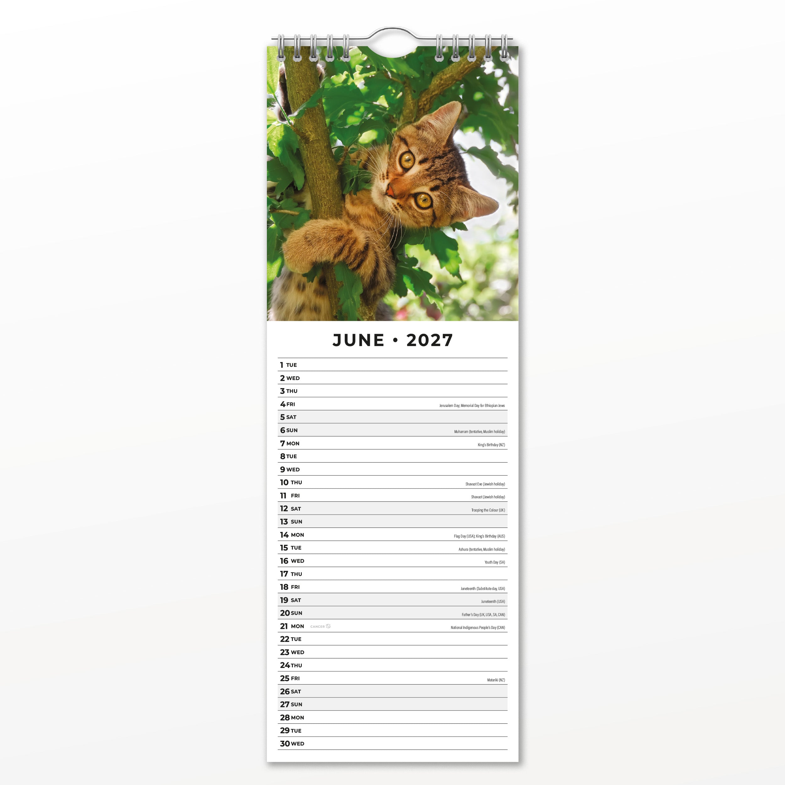 2027 Adorable Cats - Slim Wall Calendar