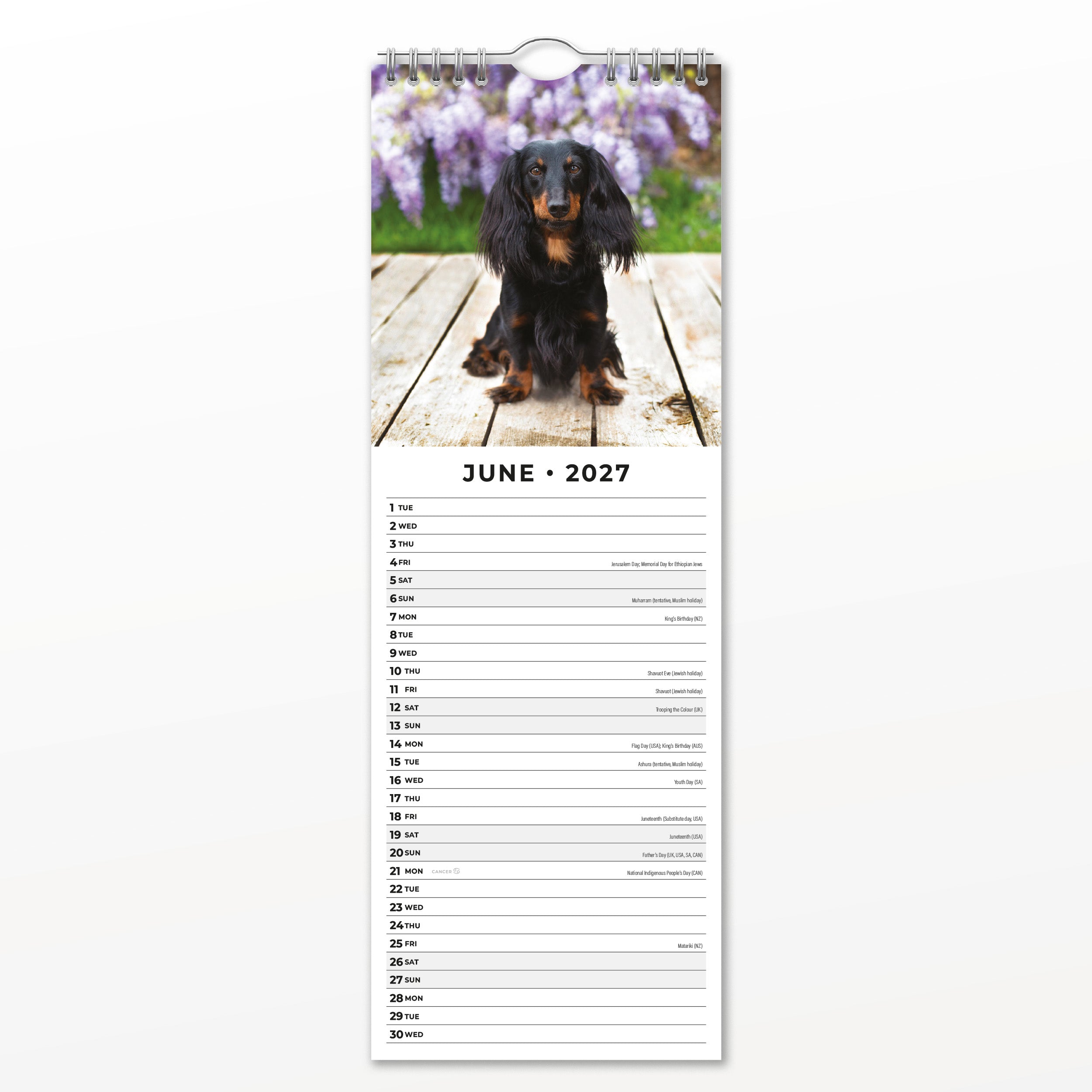 2027 Adorable Dogs - Slim Wall Calendar