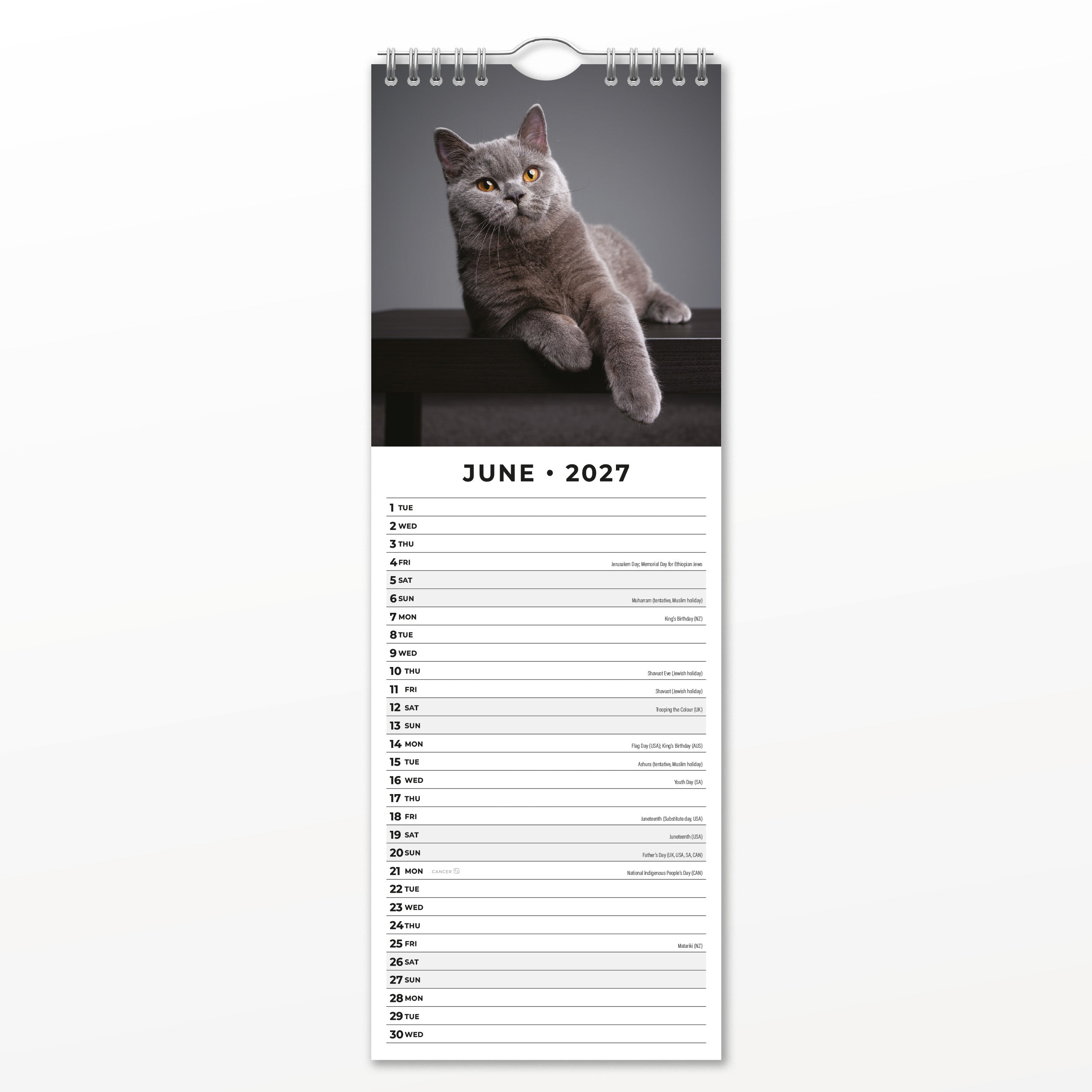 2027 British Shorthair Cats - Slim Wall Calendar
