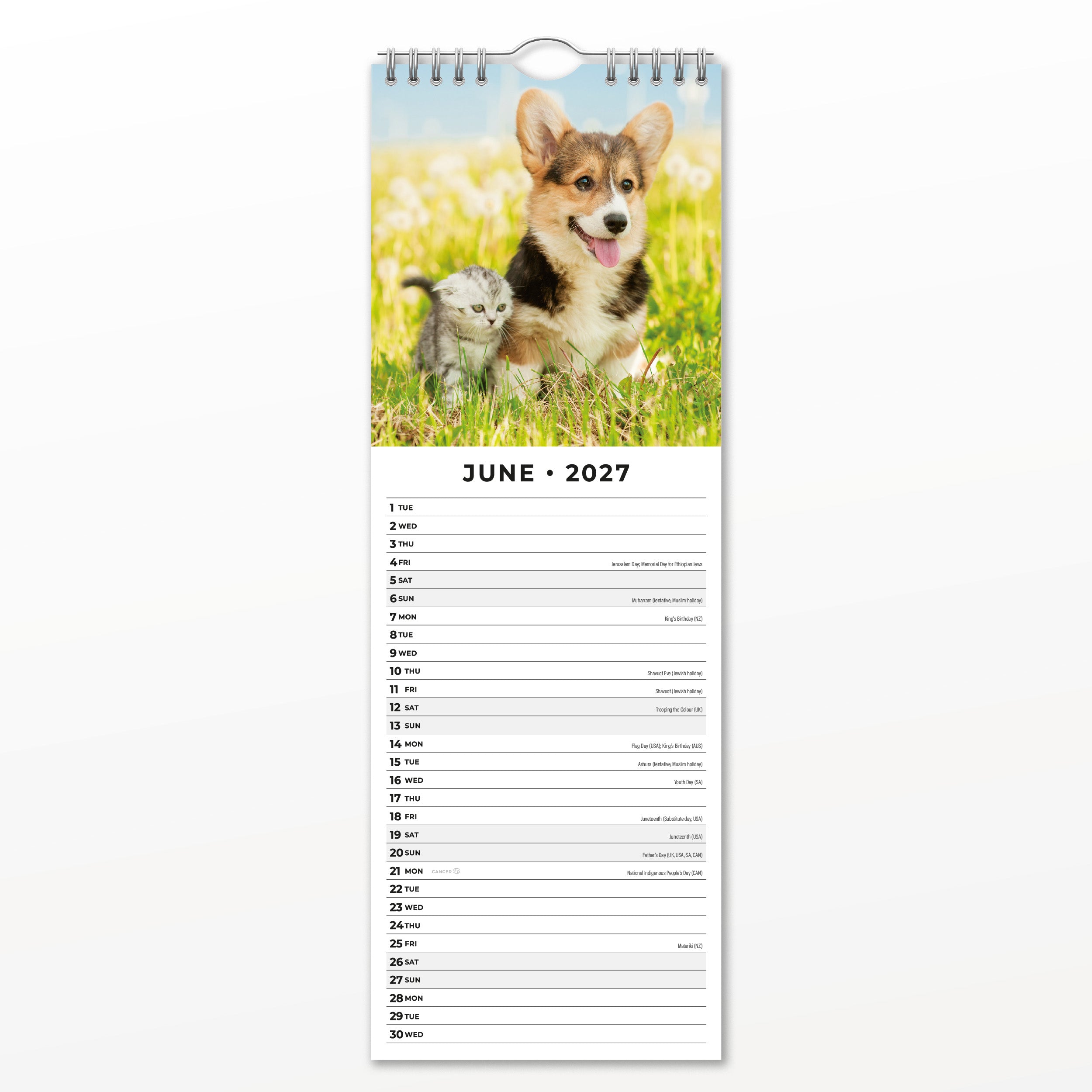2027 Cats & Dogs - Slim Wall Calendar