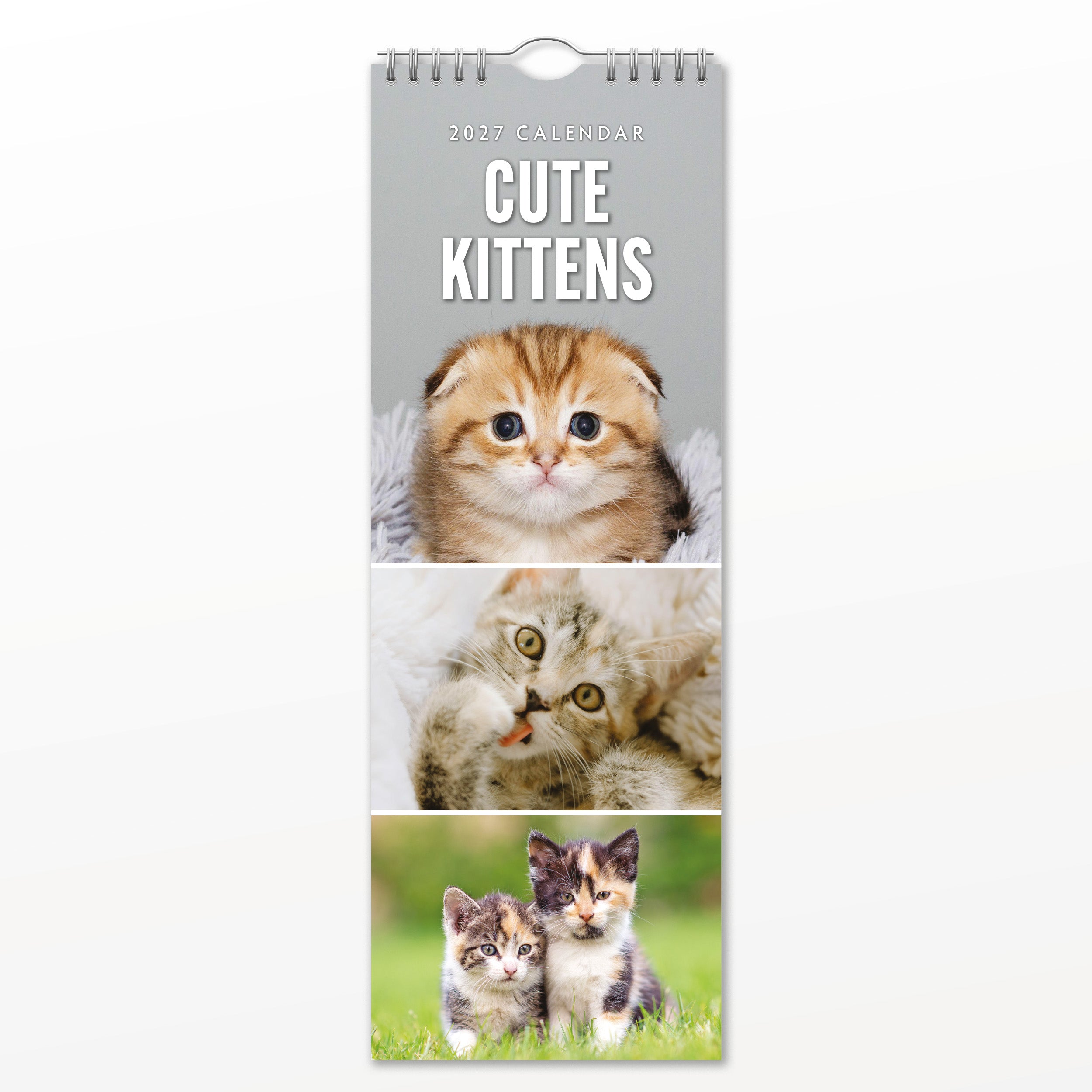 2027 Cute Kittens - Slim Wall Calendar