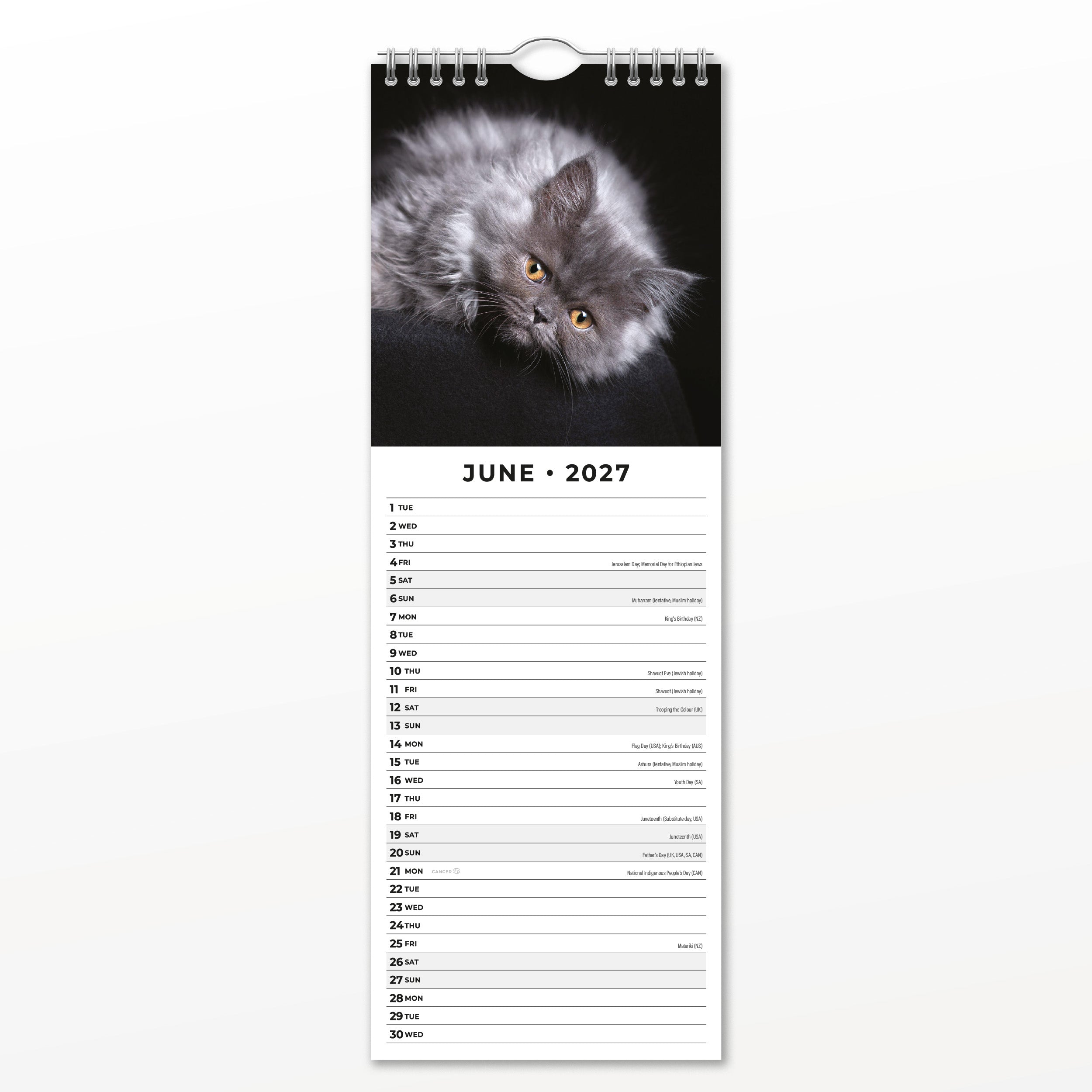 2027 Cute Kittens - Slim Wall Calendar