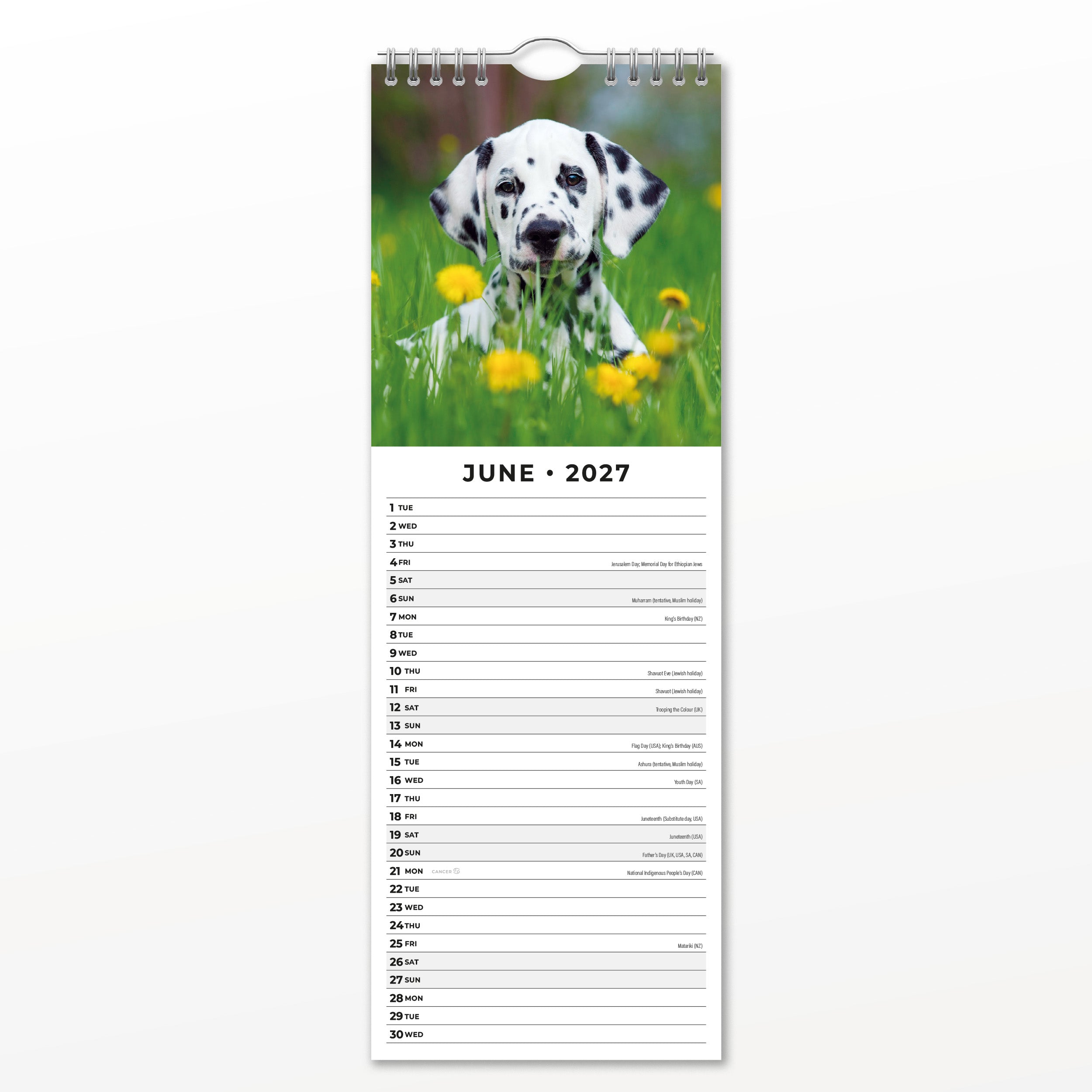 2027 Cute Puppies - Slim Wall Calendar