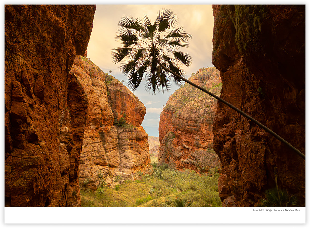 The Kimberley 2027 calendar photograph: Mini Palms Gorge in Purnululu National Park