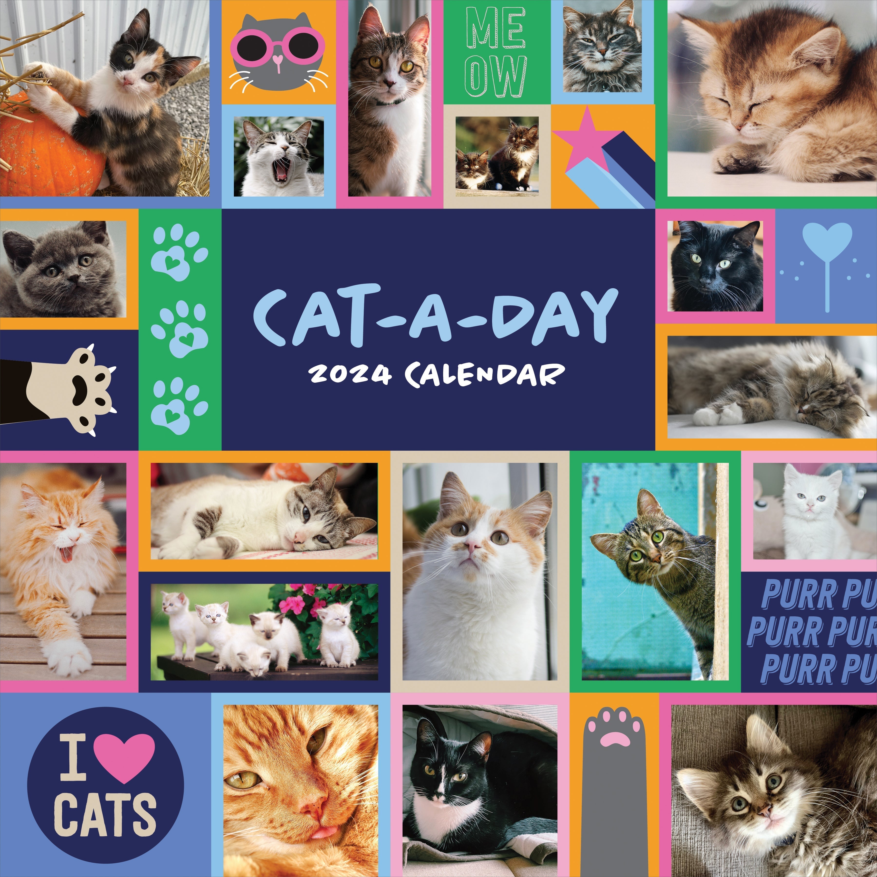 2024 CatADay Square Wall Calendar Cats & Kittens Calendars by TF