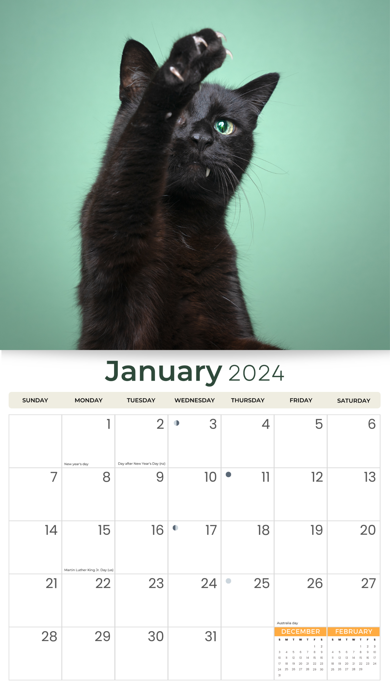 2024 Black Cats & Kittens - Deluxe Wall Calendar by Just Calendars - 16 Month - Plastic Free