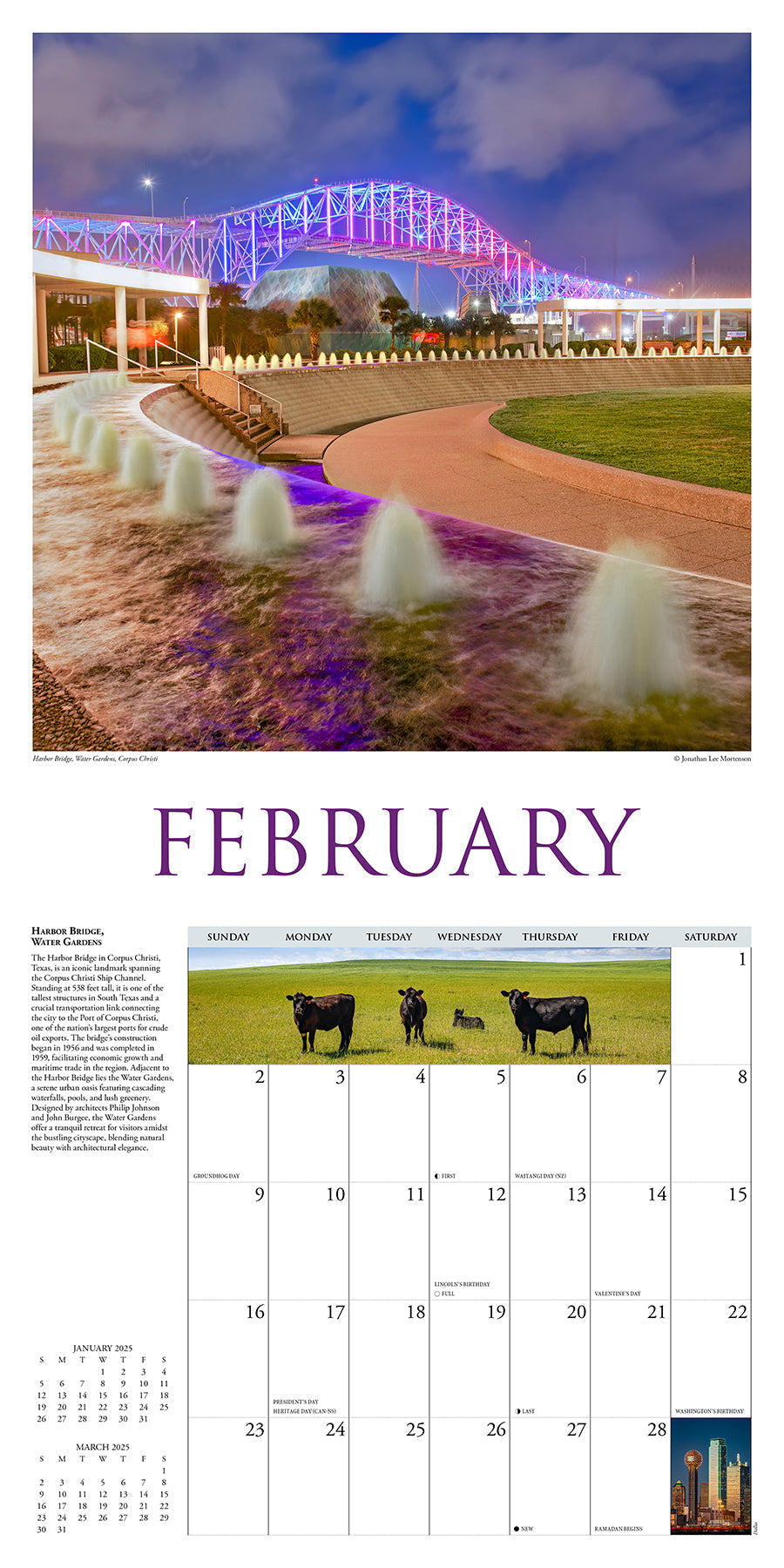 2025 Texas - Square Wall Calendar (US Only)